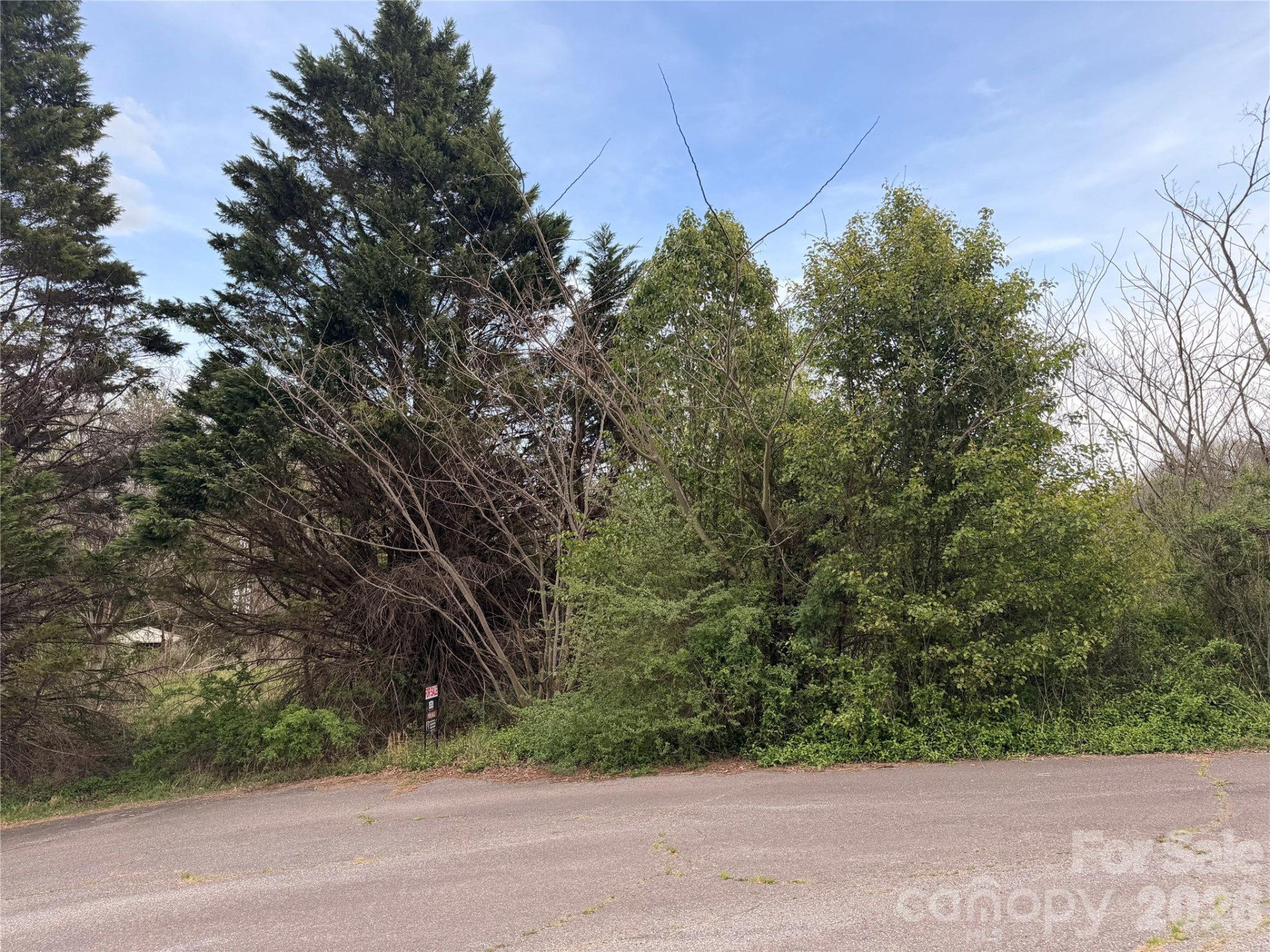 7557 Cowtail Lane - Photo 4