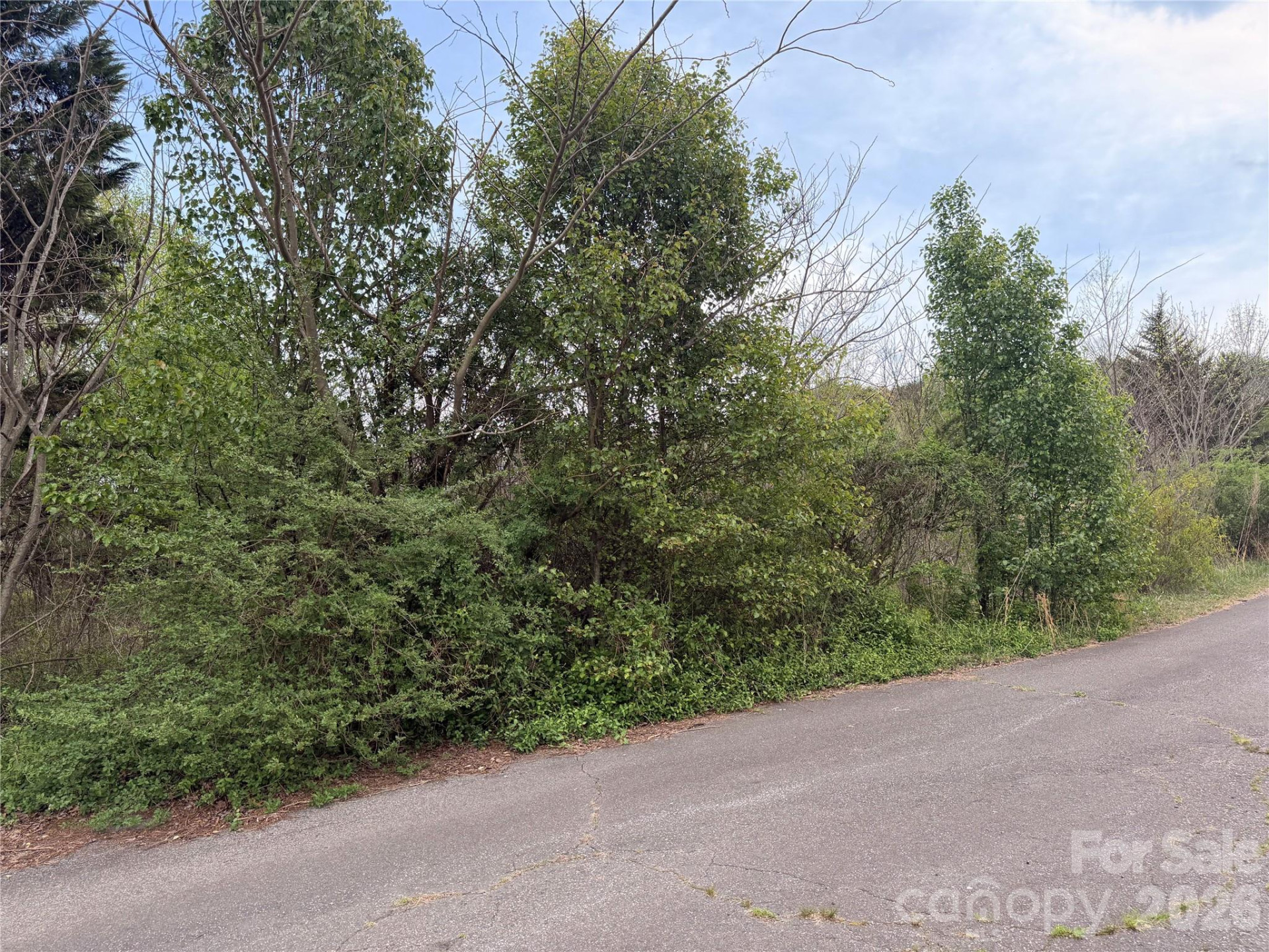 7557 Cowtail Lane - Photo 5