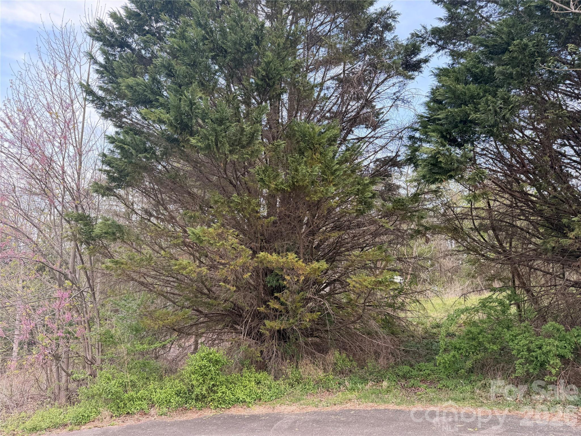 7557 Cowtail Lane - Photo 6