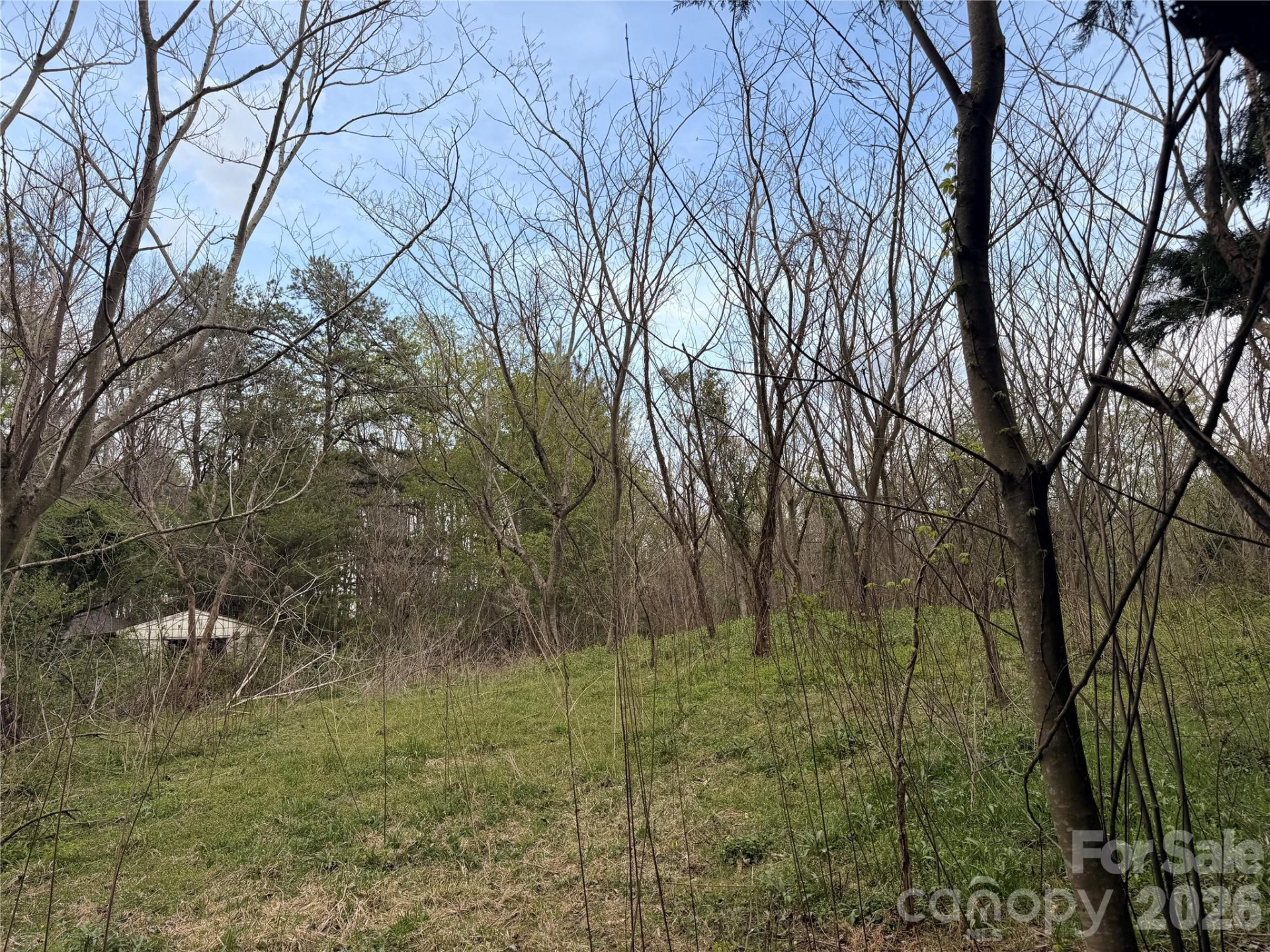 7557 Cowtail Lane - Photo 8