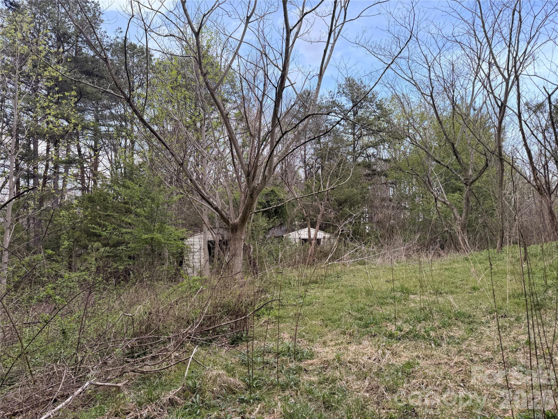 7557 Cowtail Lane - Photo 9