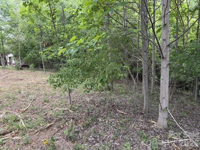 7557 Cowtail Lane - Photo 10