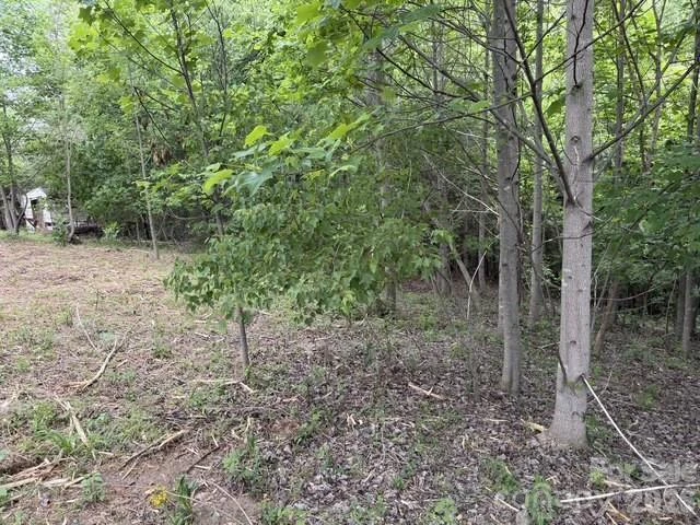 7557 Cowtail Lane - Photo 10