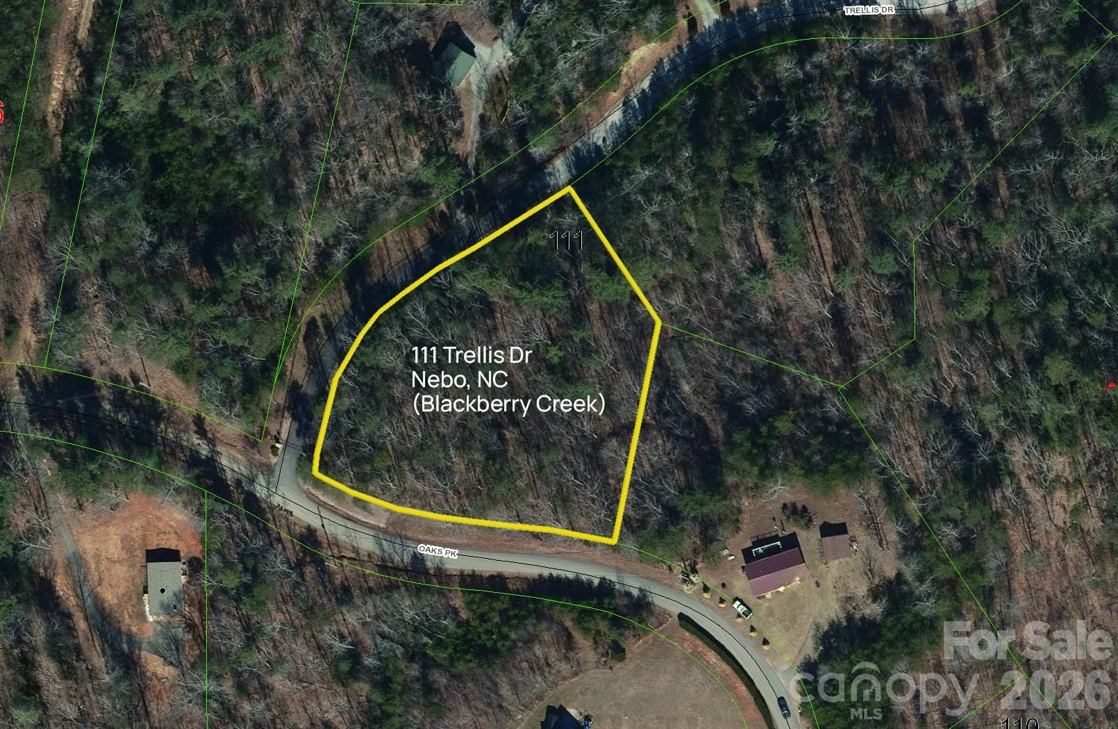 Lot 111 Trellis Drive - Photo 2