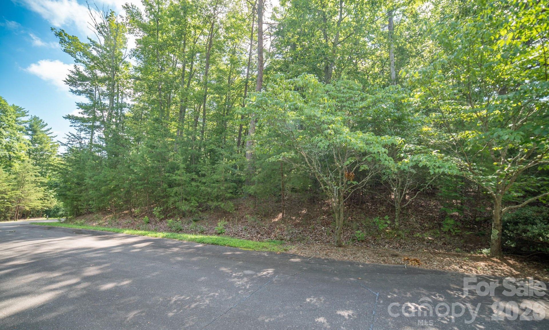 Lot 111 Trellis Drive - Photo 6