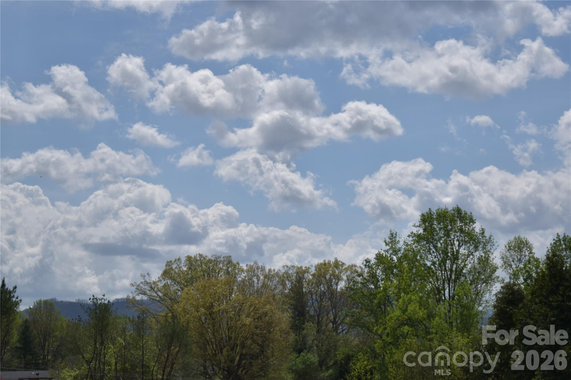 103 Regina Drive - Photo 5