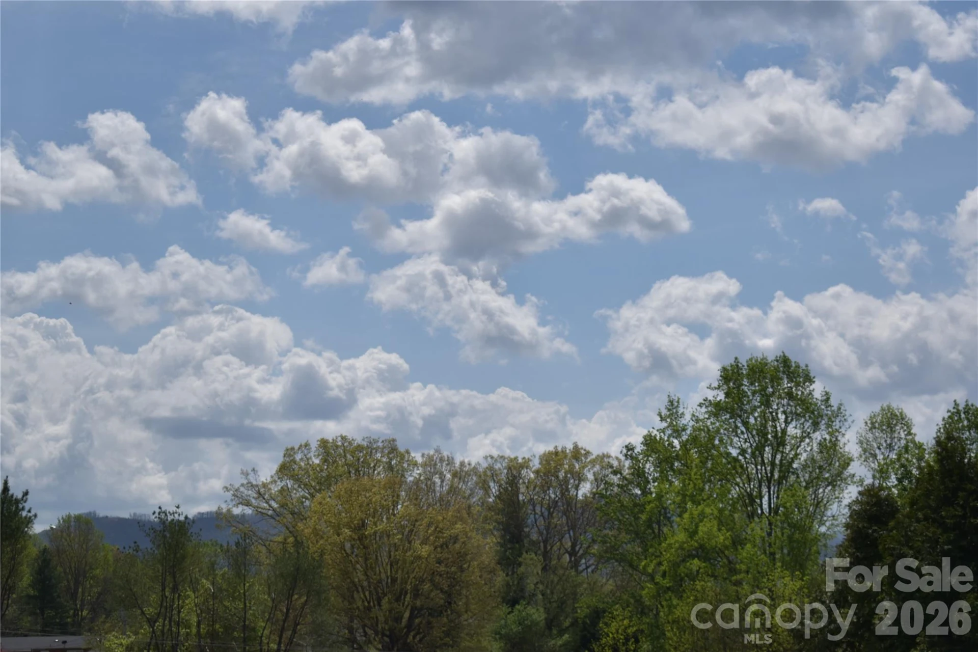 103 Regina Drive - Photo 7