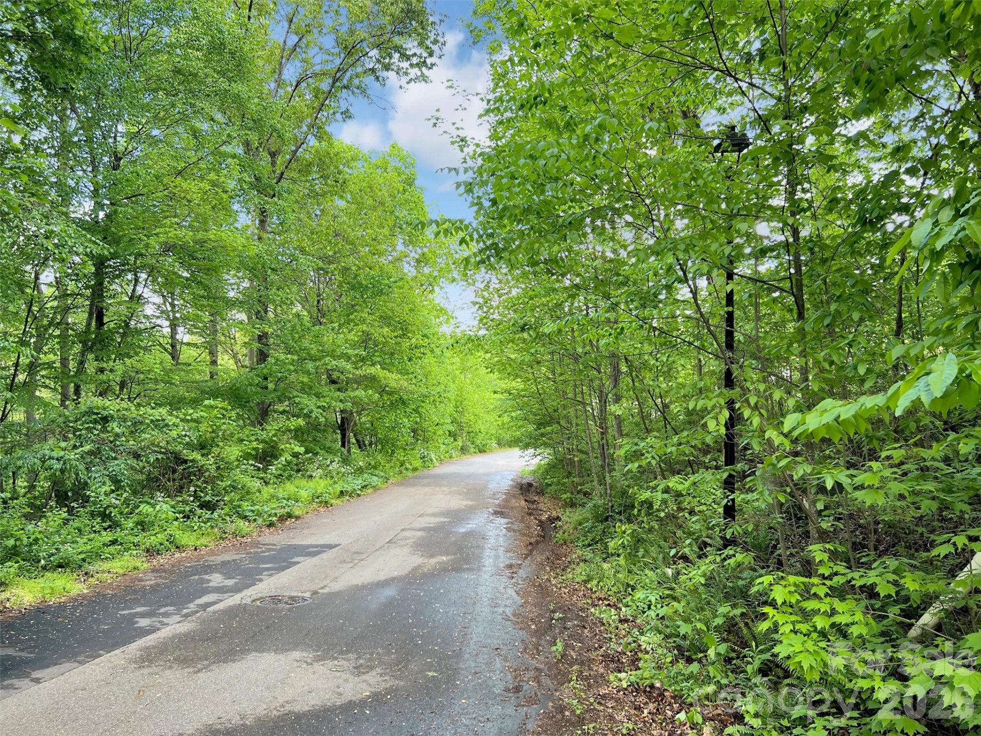 L# 102 Hoosier Court #102 - Photo 3