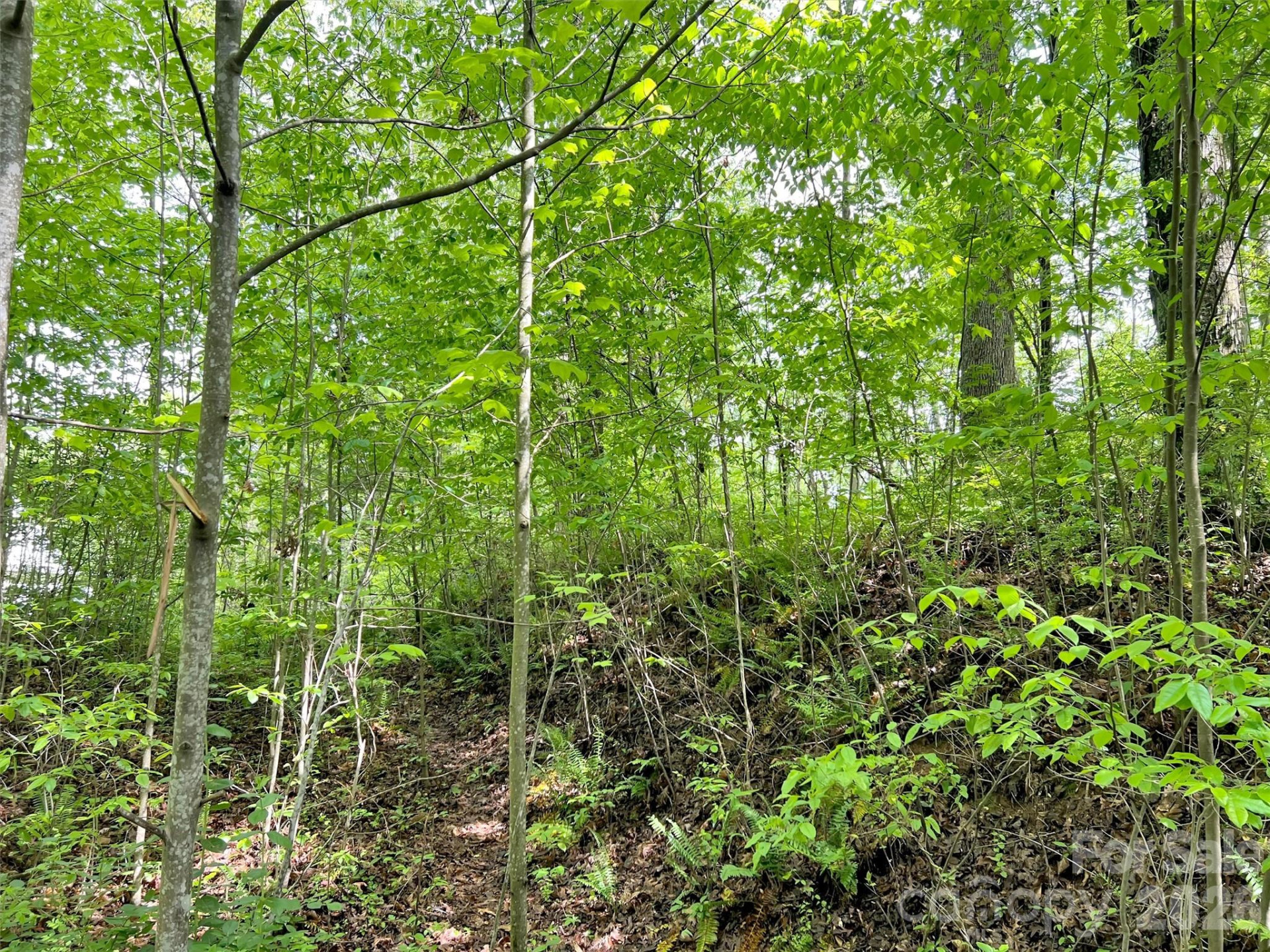 L# 102 Hoosier Court #102 - Photo 6