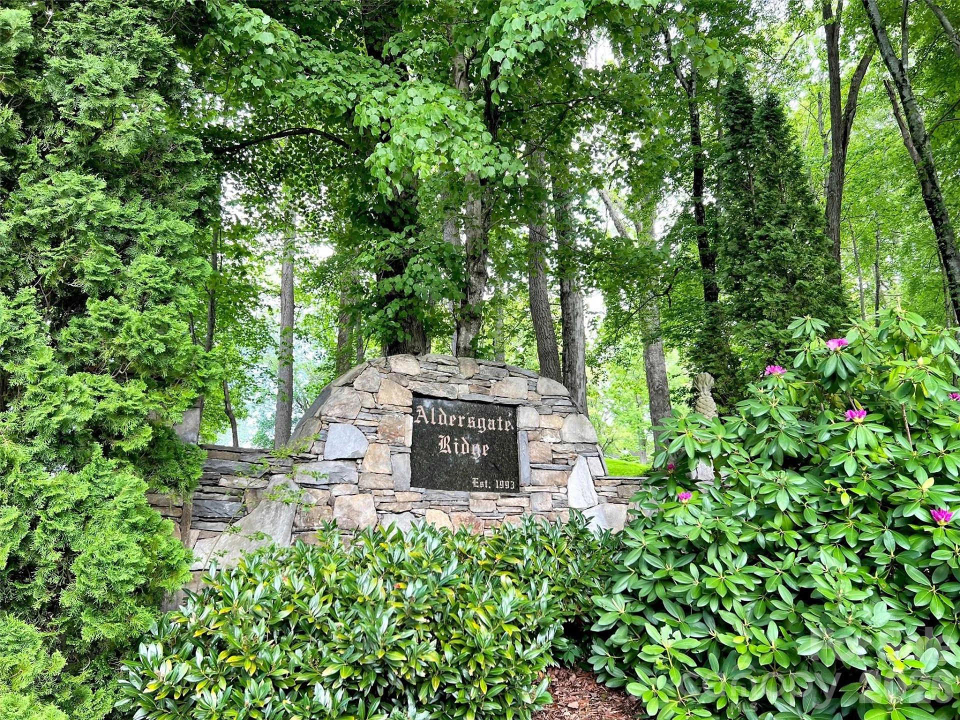 186 Aldersgate Road - Photo 13