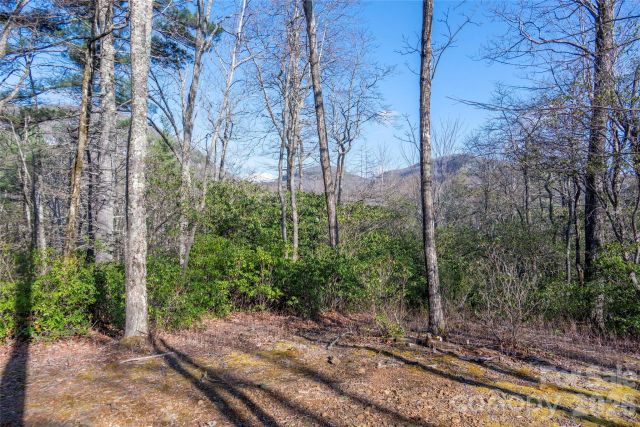 TRP 1 Cardinal Drive, Lake Toxaway, NC, 28747