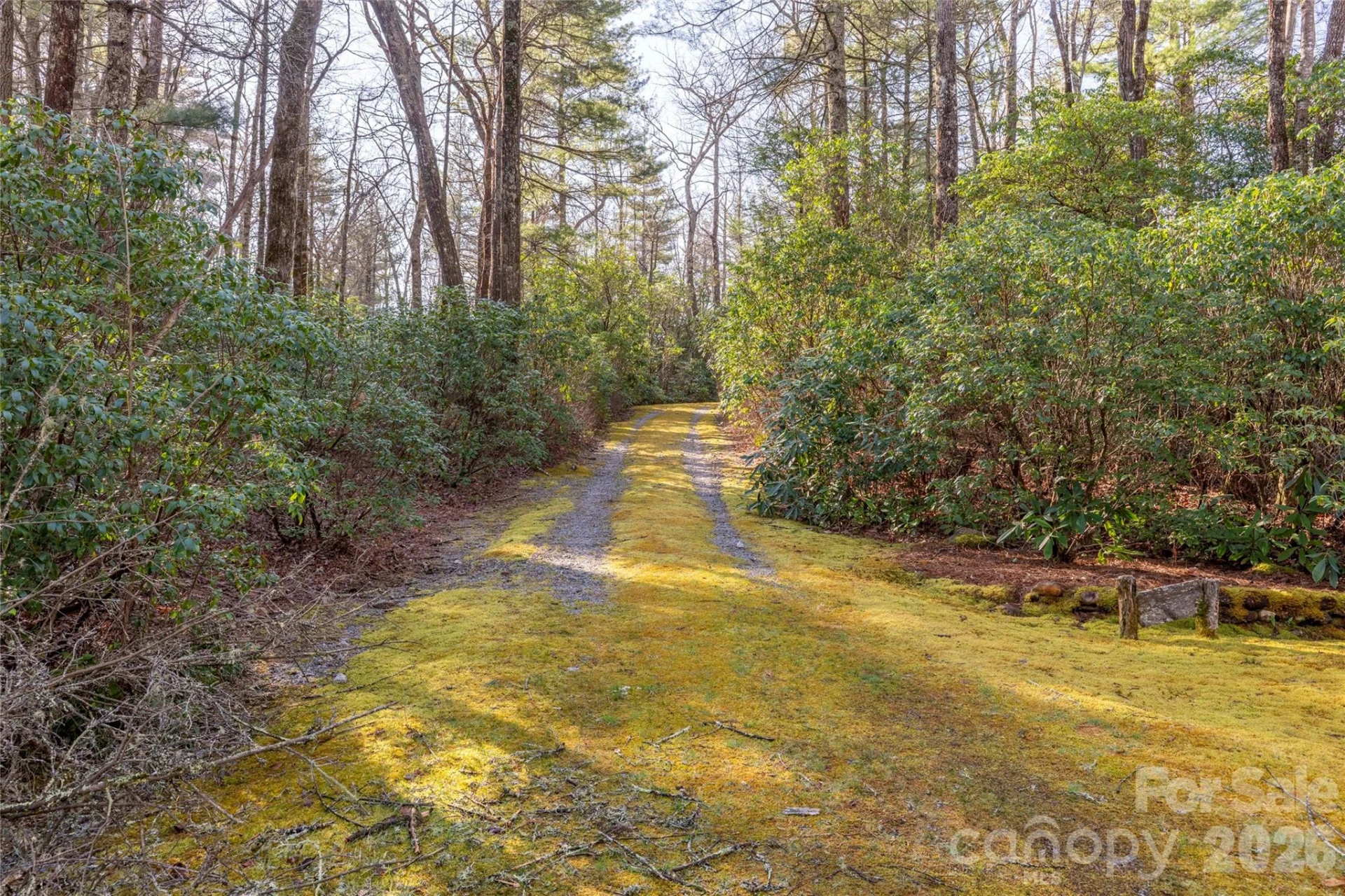TRP 1 Cardinal Drive - Photo 3