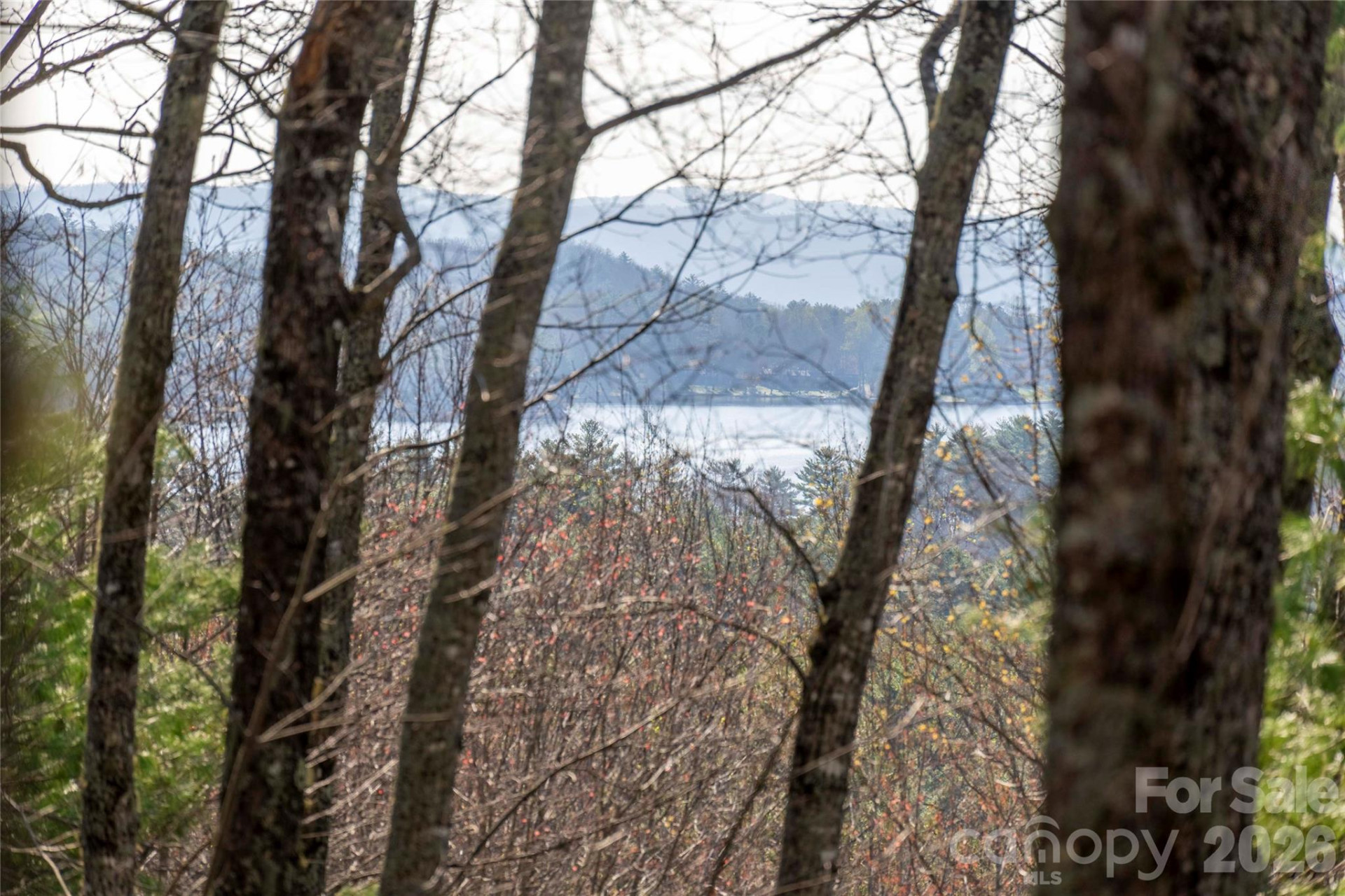 TRP 1 Cardinal Drive - Photo 4