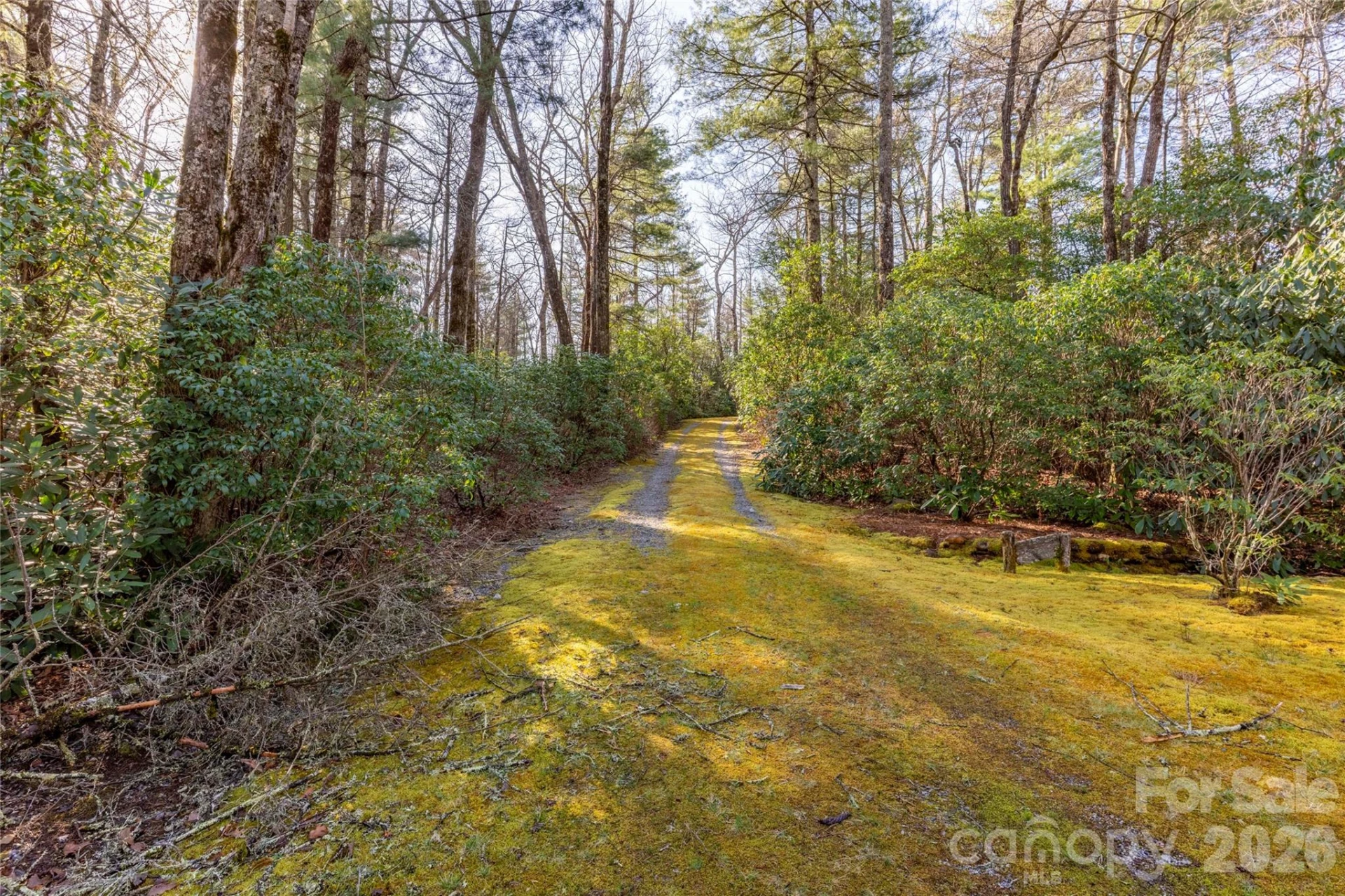 TRP 1 Cardinal Drive - Photo 7