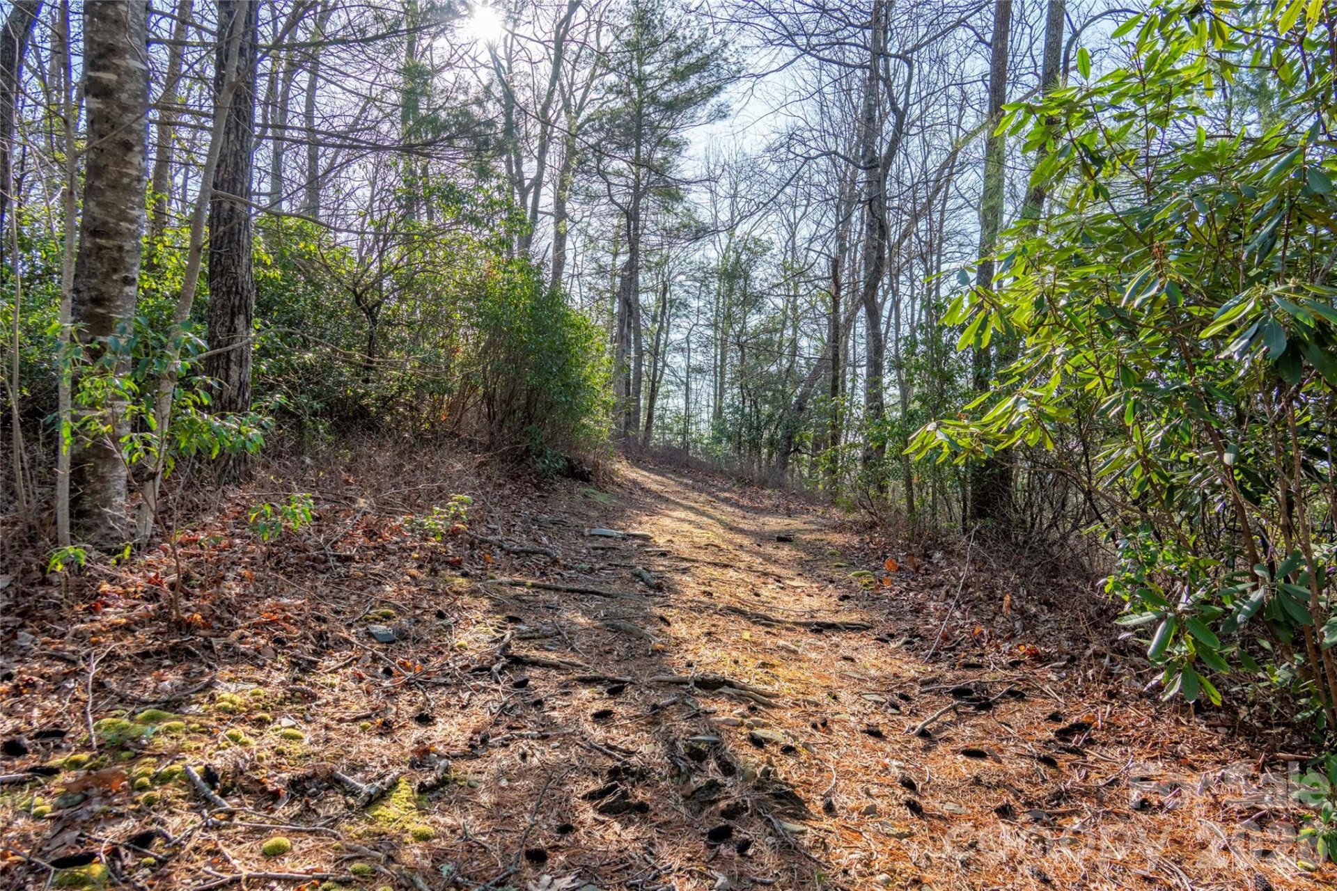 TRP 1 Cardinal Drive - Photo 8