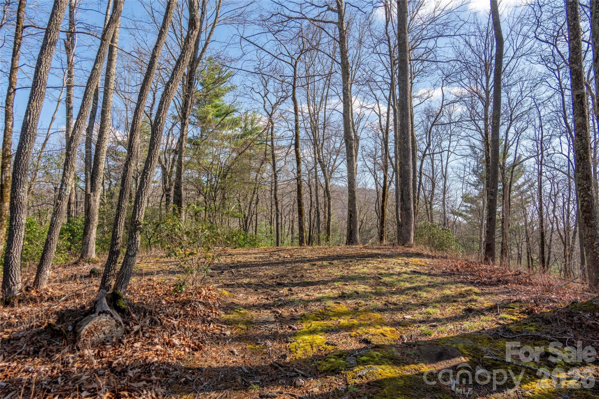 TRP 1 Cardinal Drive - Photo 9