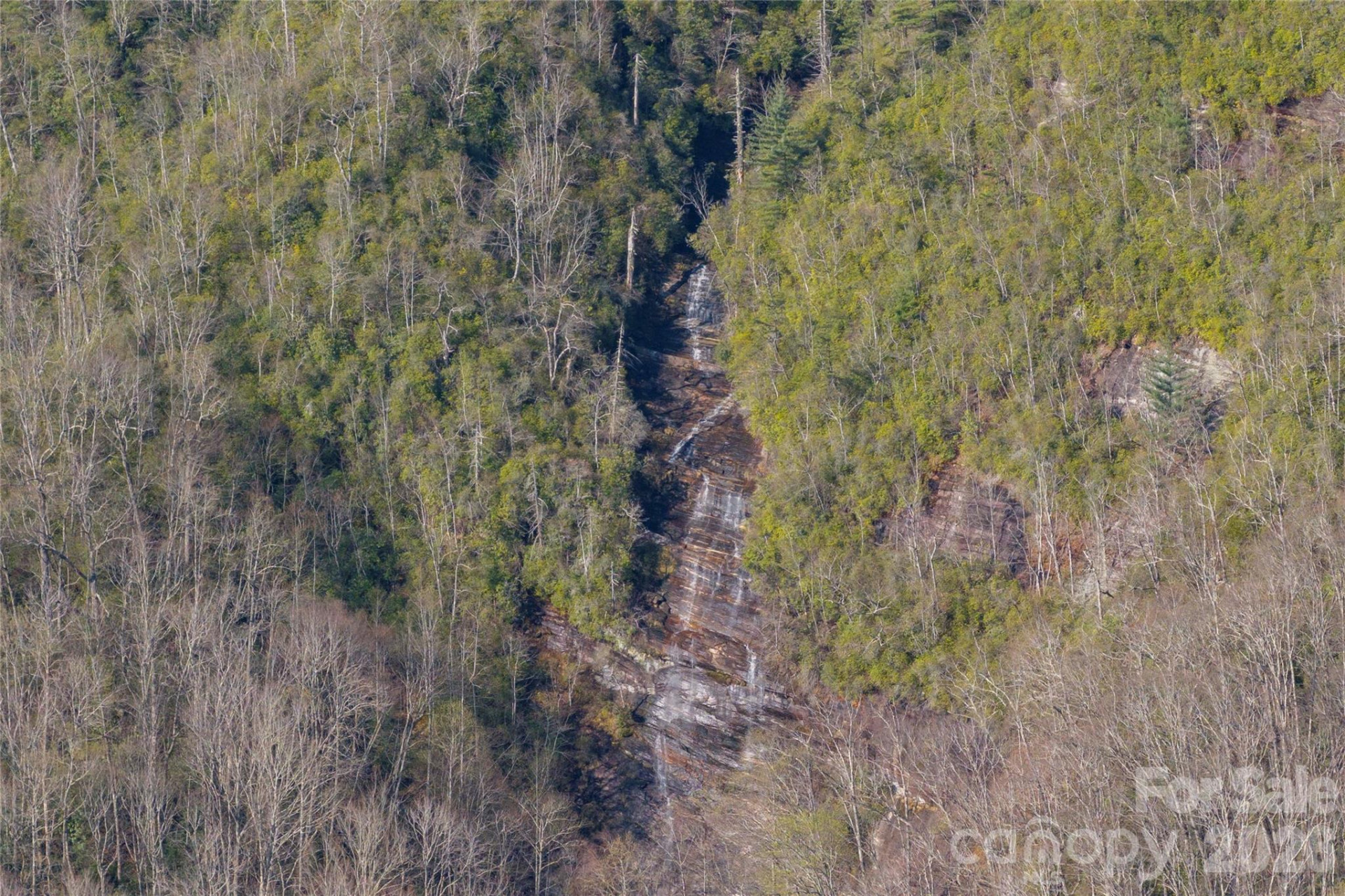 TRP 1 Cardinal Drive - Photo 10