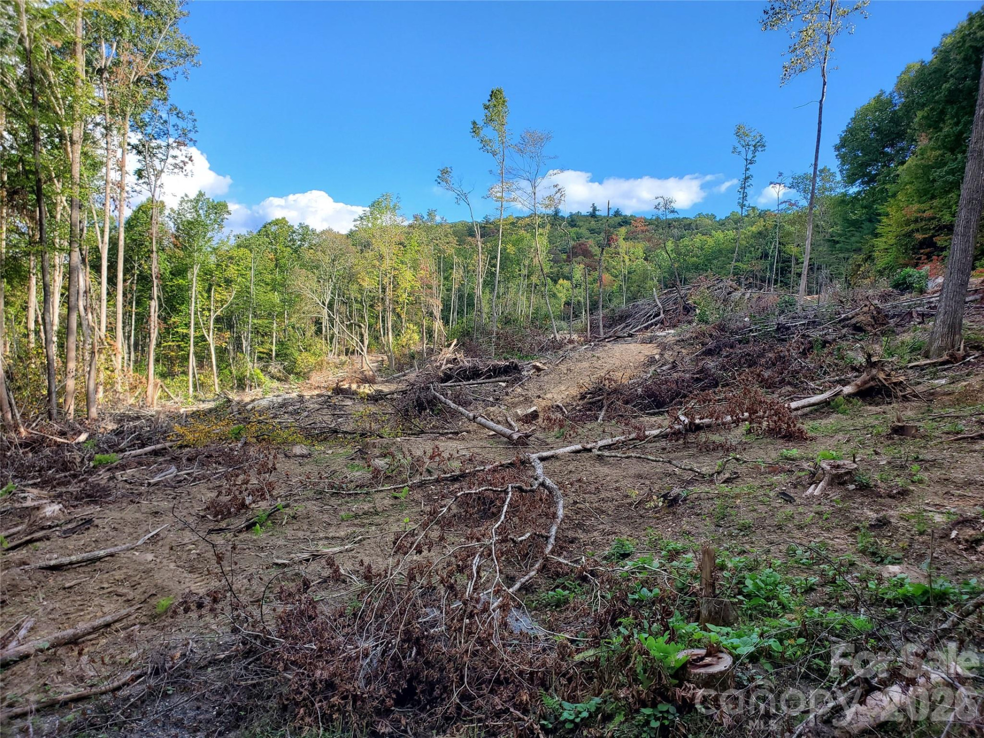 00 Parkwood Hill Road #32 - Photo 13