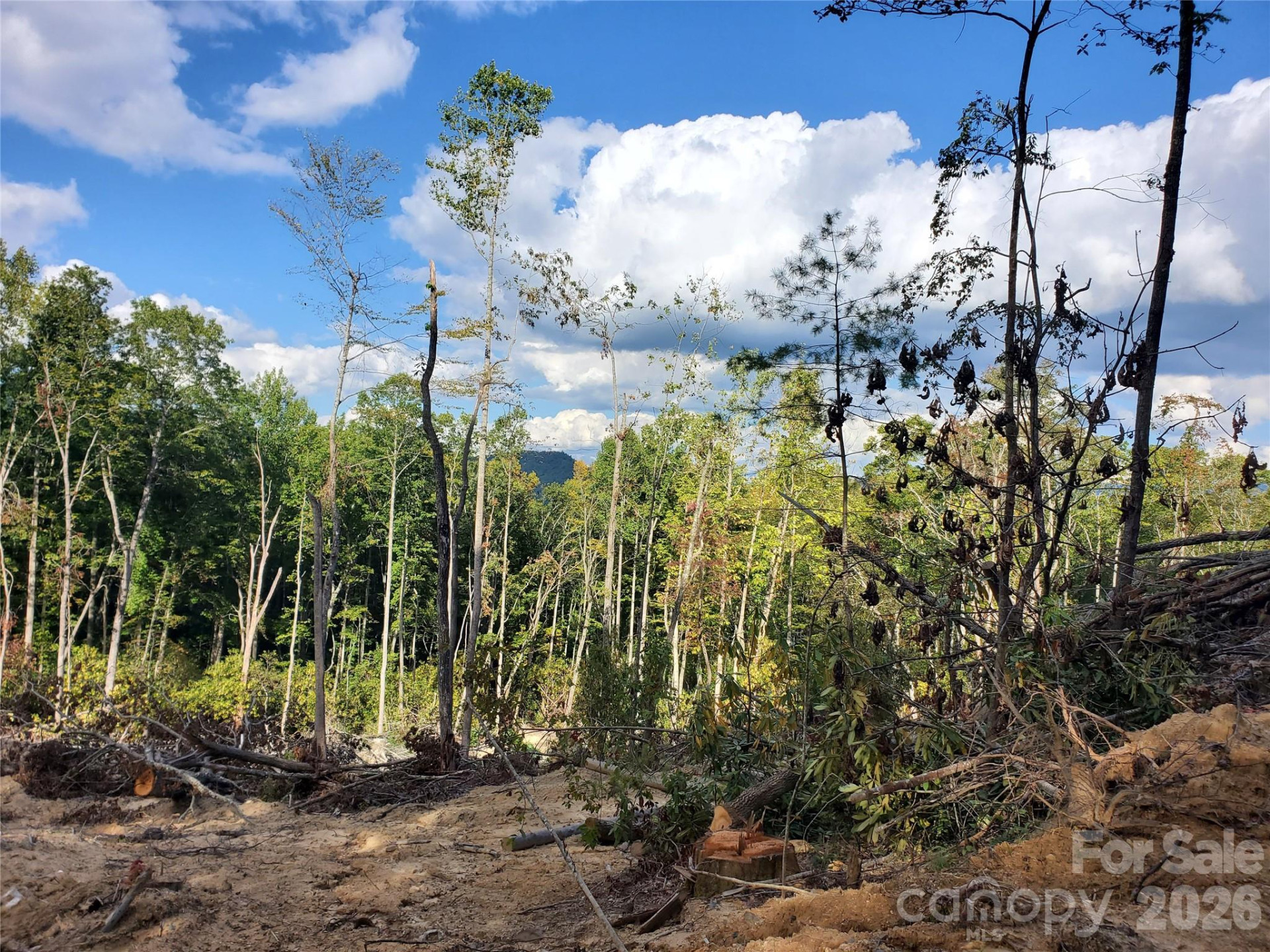 00 Parkwood Hill Road #32 - Photo 6