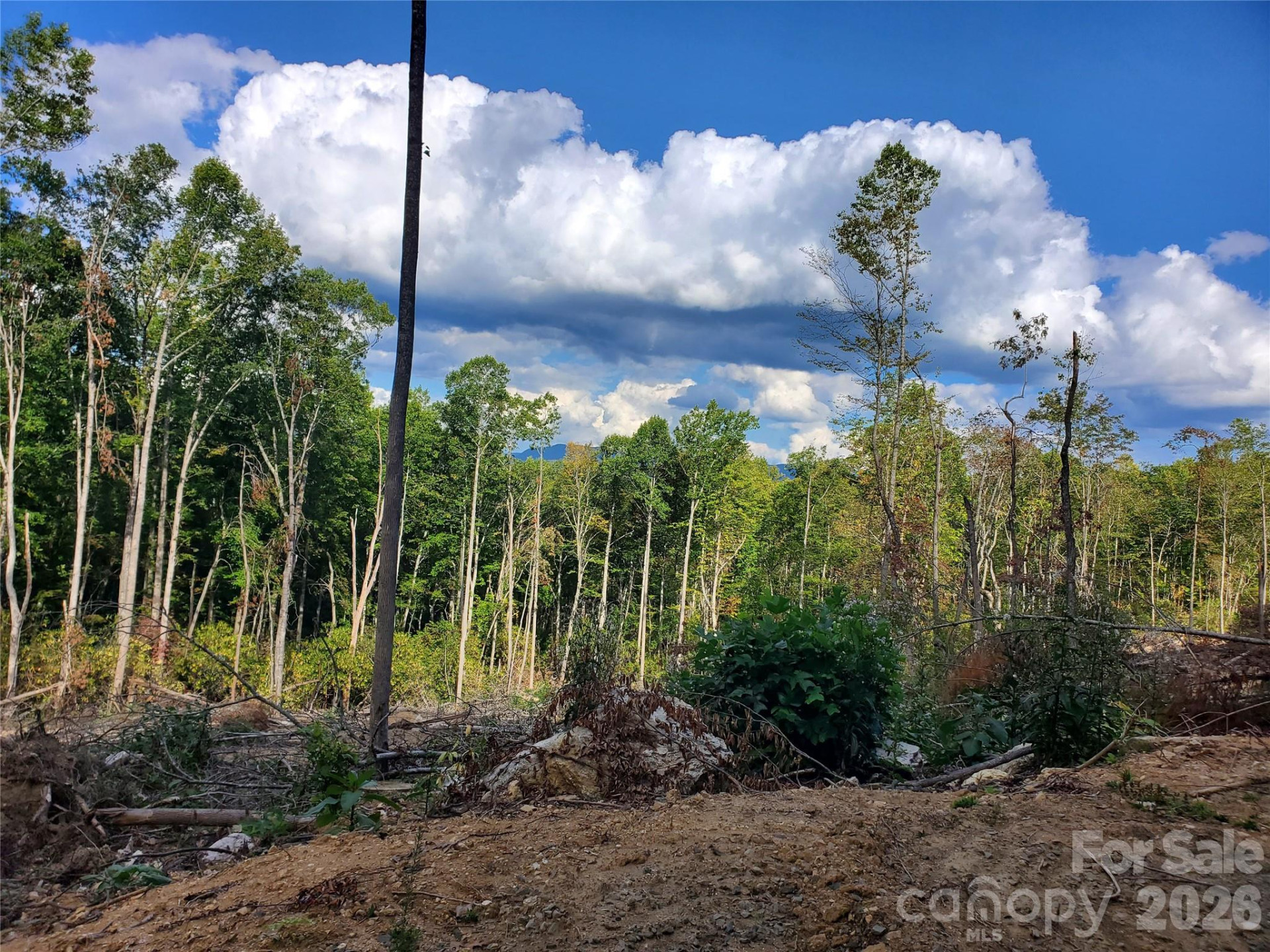 00 Parkwood Hill Road #32 - Photo 8