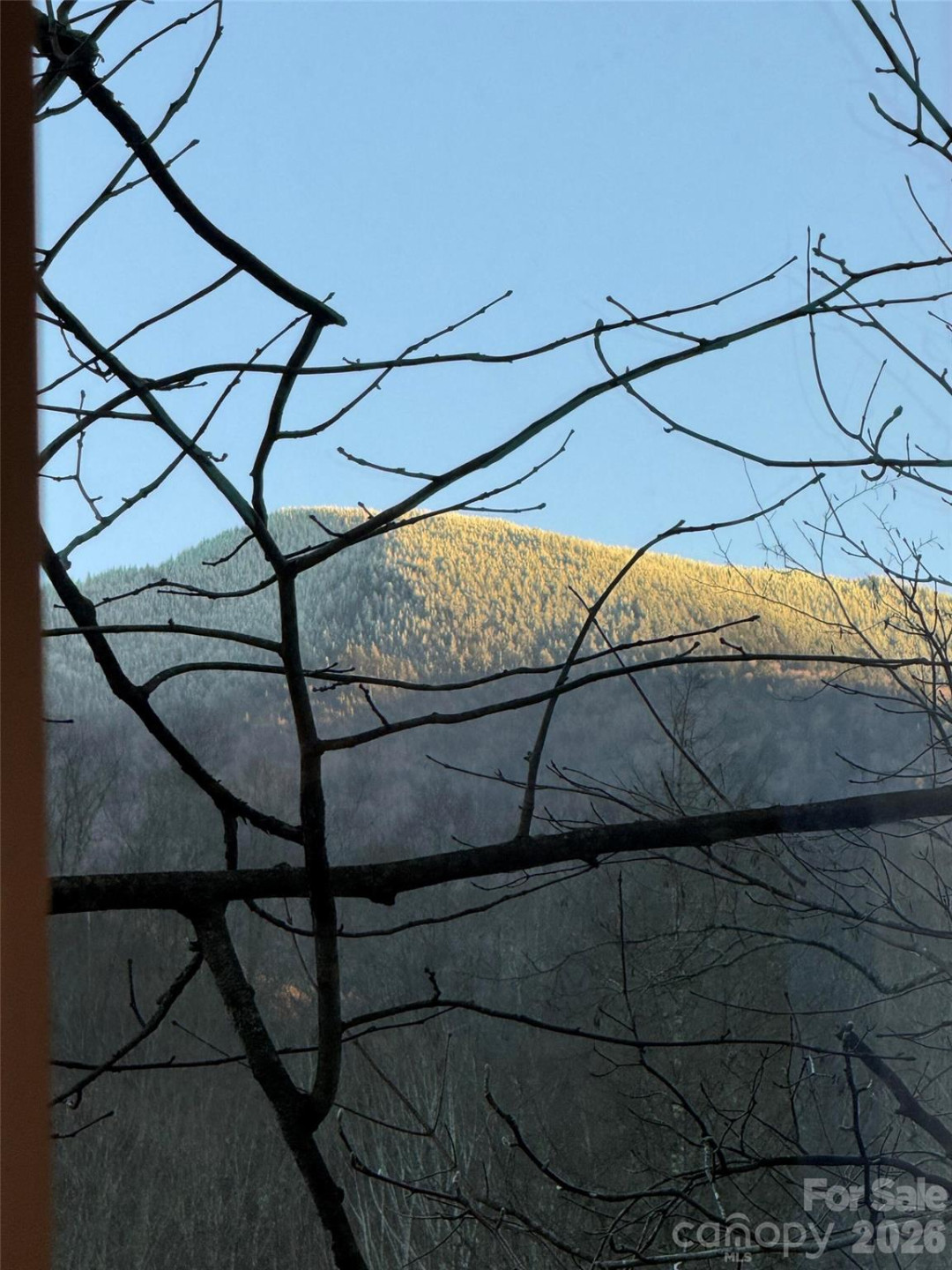 88 Mountain Farm Road - Photo 8