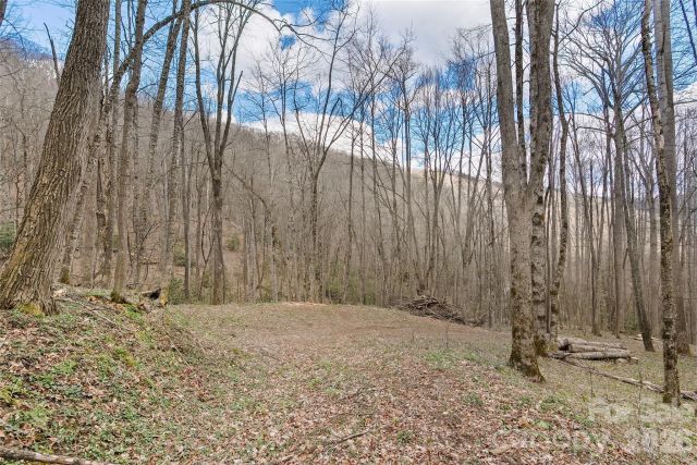23 Forbidden Cove, Waynesville, NC, 28785
