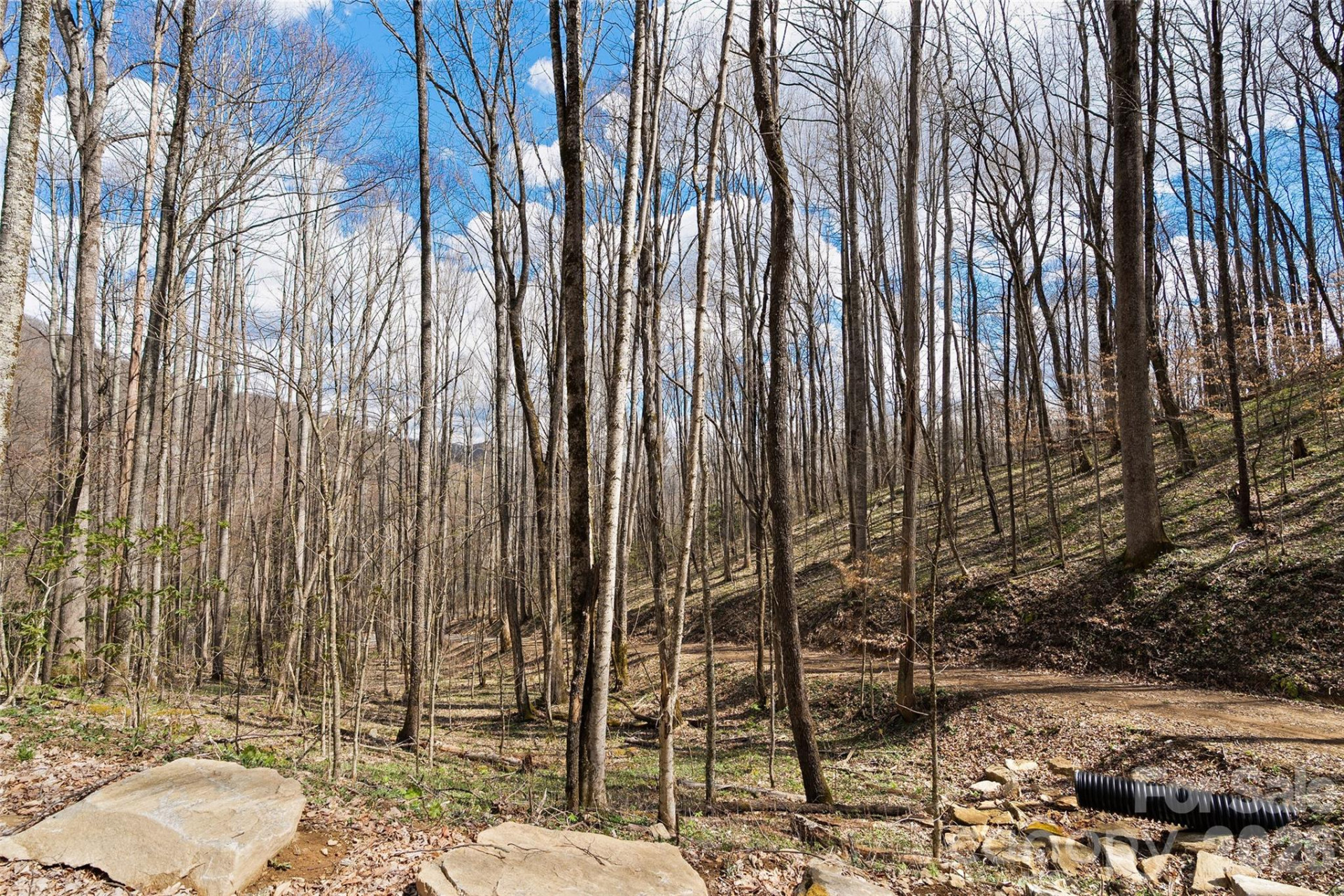 23 Forbidden Cove - Photo 2