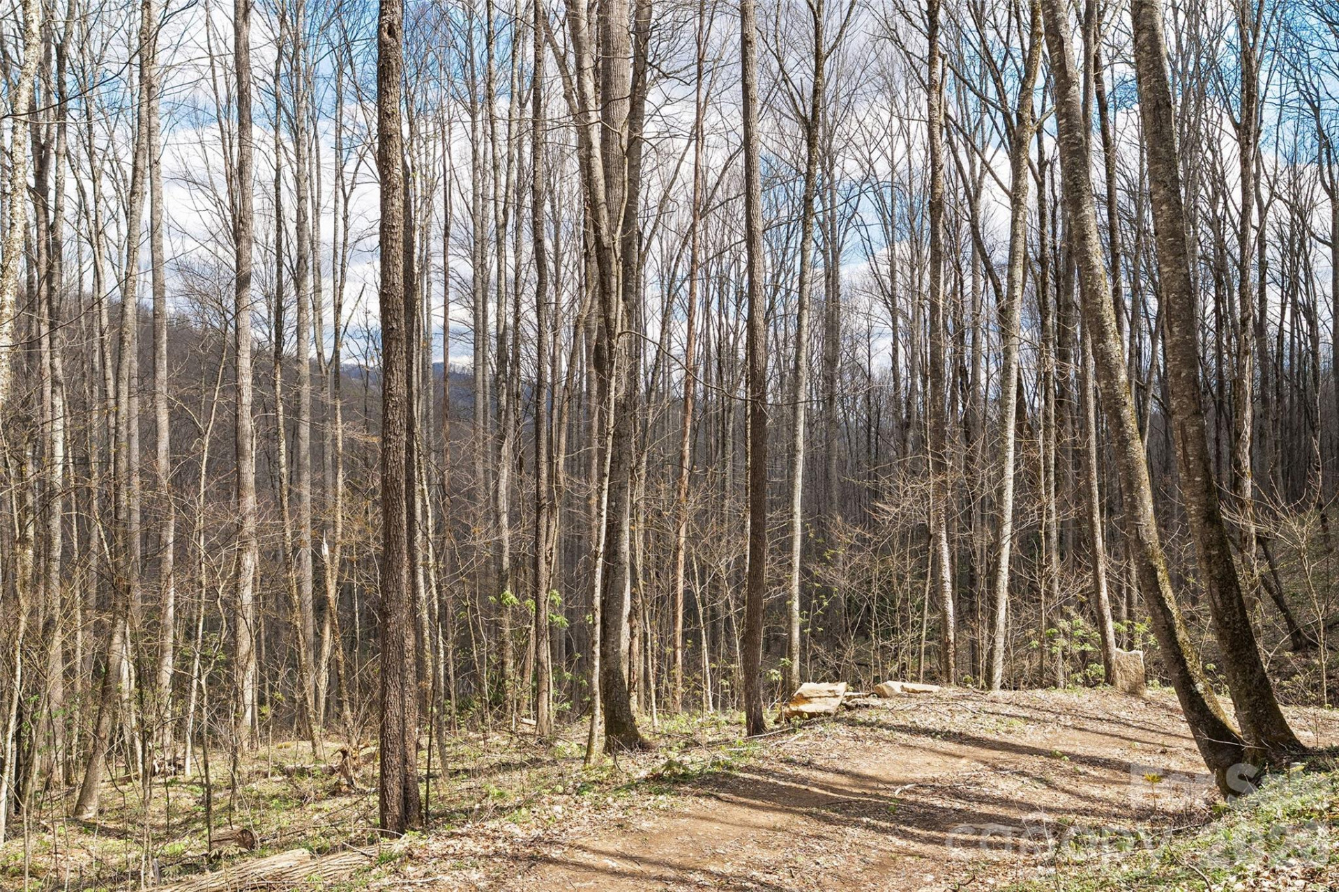 23 Forbidden Cove - Photo 11