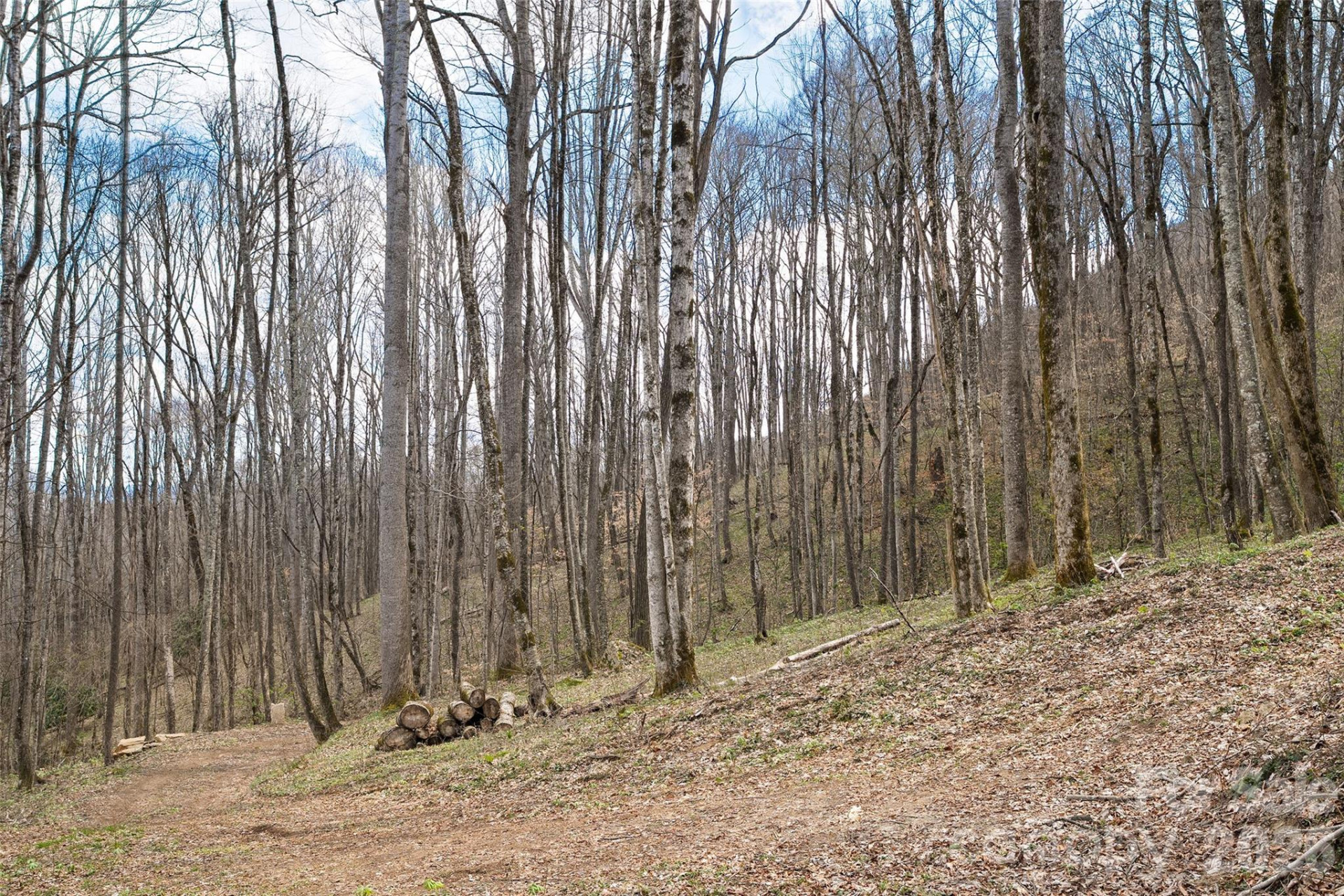 23 Forbidden Cove - Photo 12