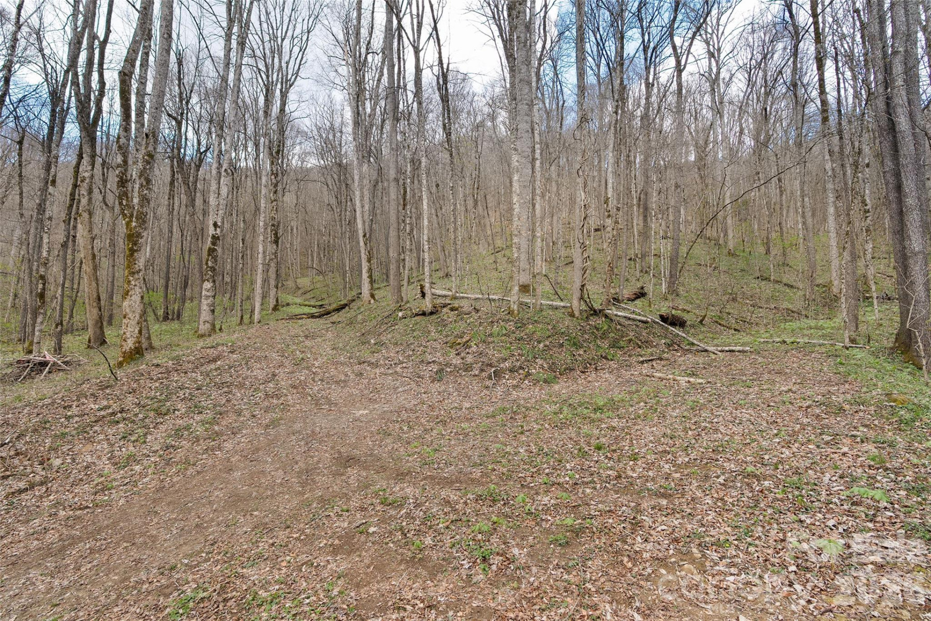 23 Forbidden Cove - Photo 13