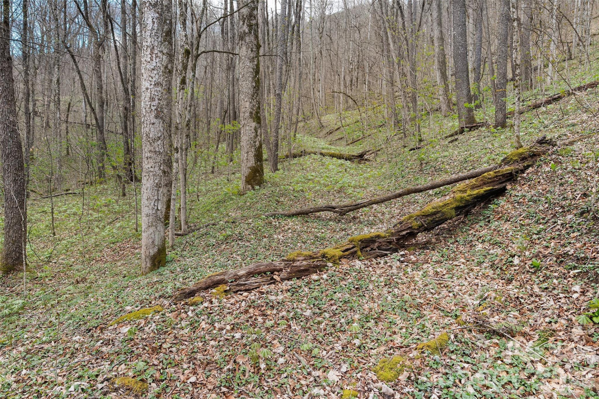 23 Forbidden Cove - Photo 14