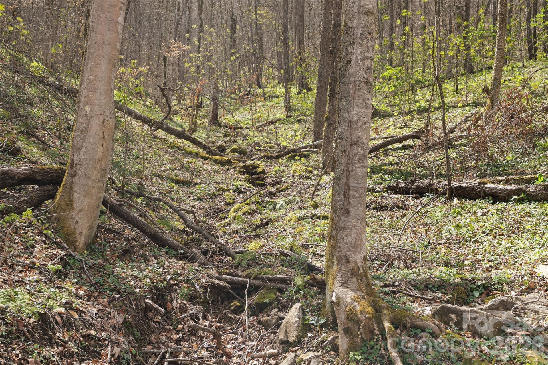 23 Forbidden Cove - Photo 15