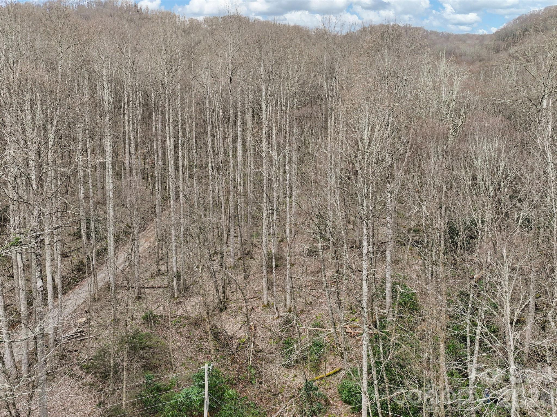 23 Forbidden Cove - Photo 16