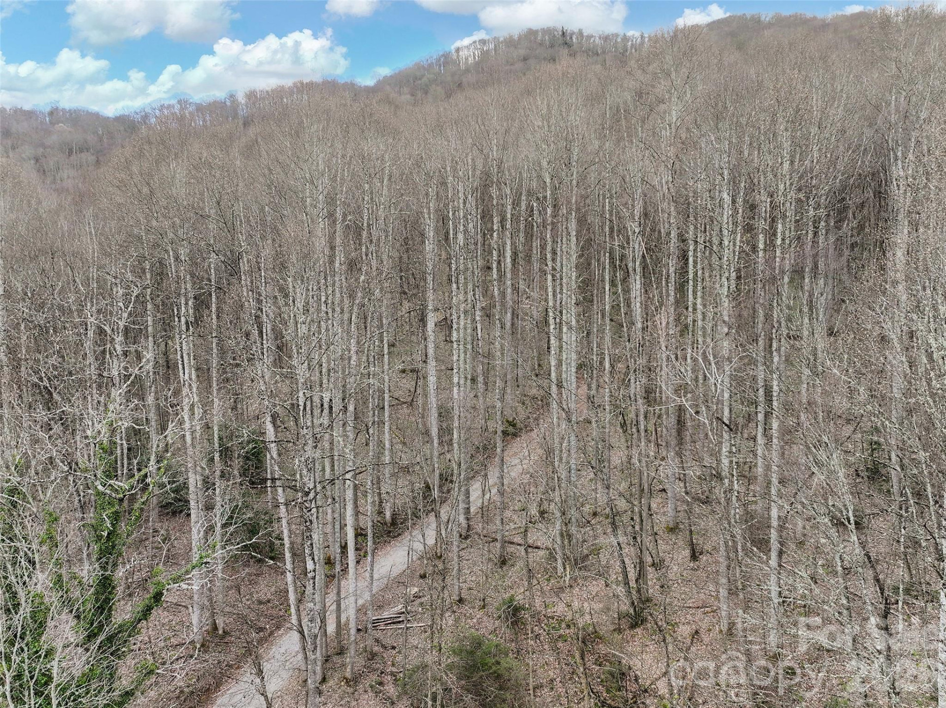 23 Forbidden Cove - Photo 17