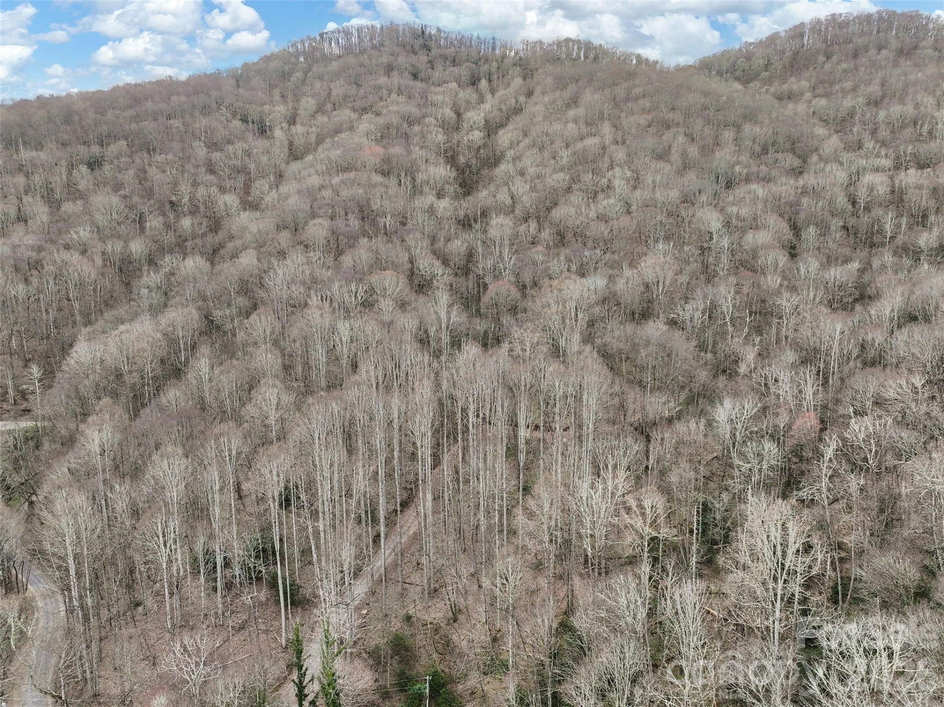 23 Forbidden Cove - Photo 18