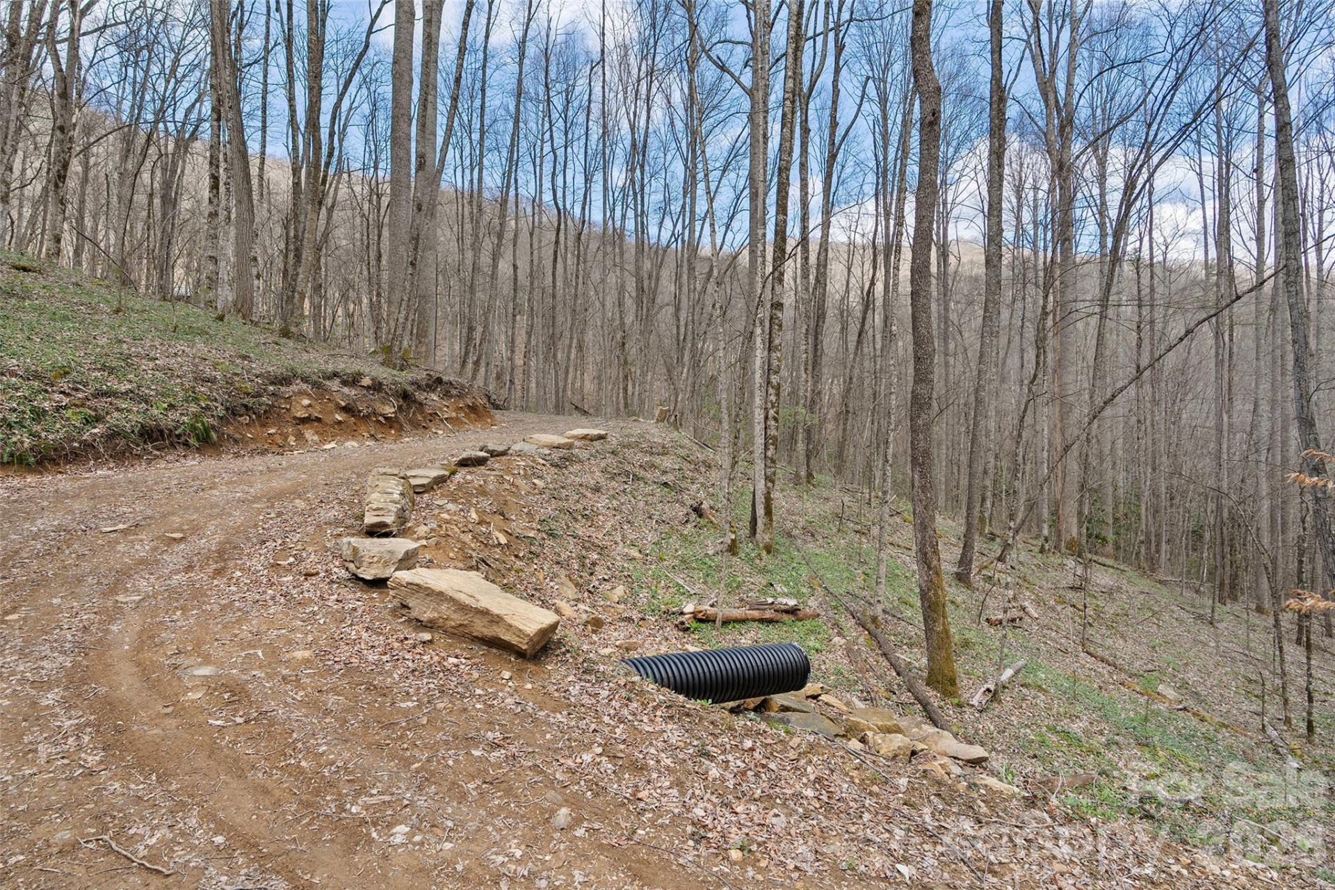 23 Forbidden Cove - Photo 4