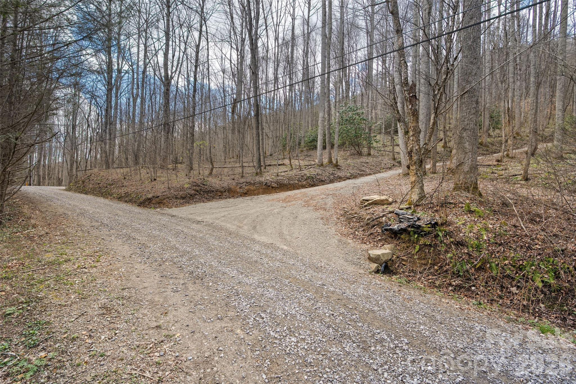 23 Forbidden Cove - Photo 5