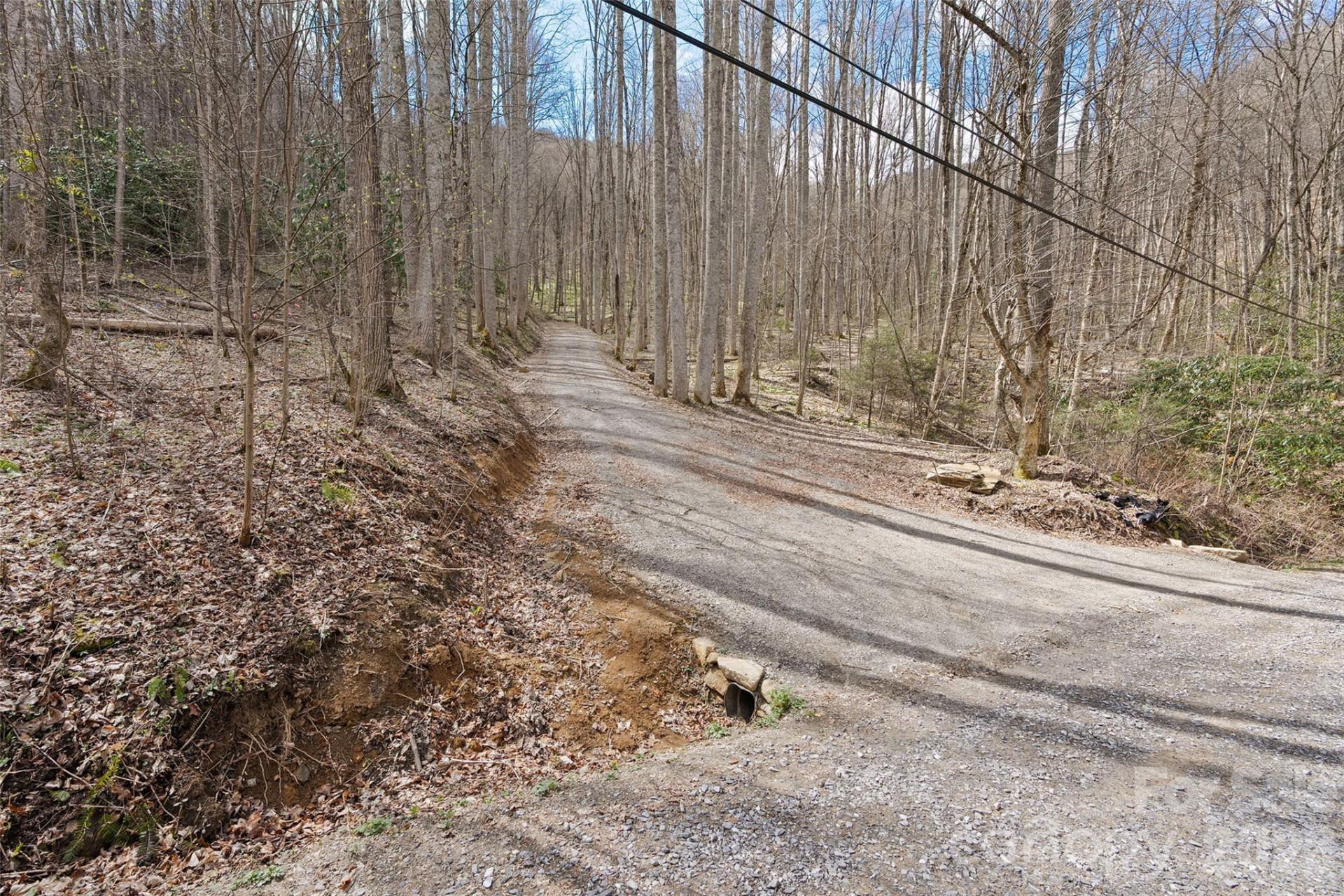 23 Forbidden Cove - Photo 7