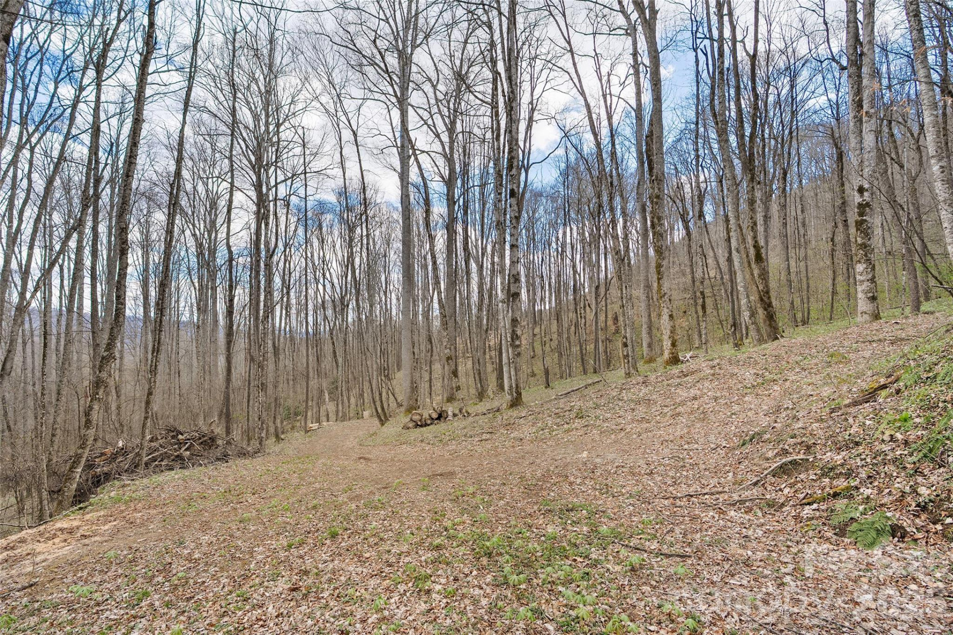 23 Forbidden Cove - Photo 8