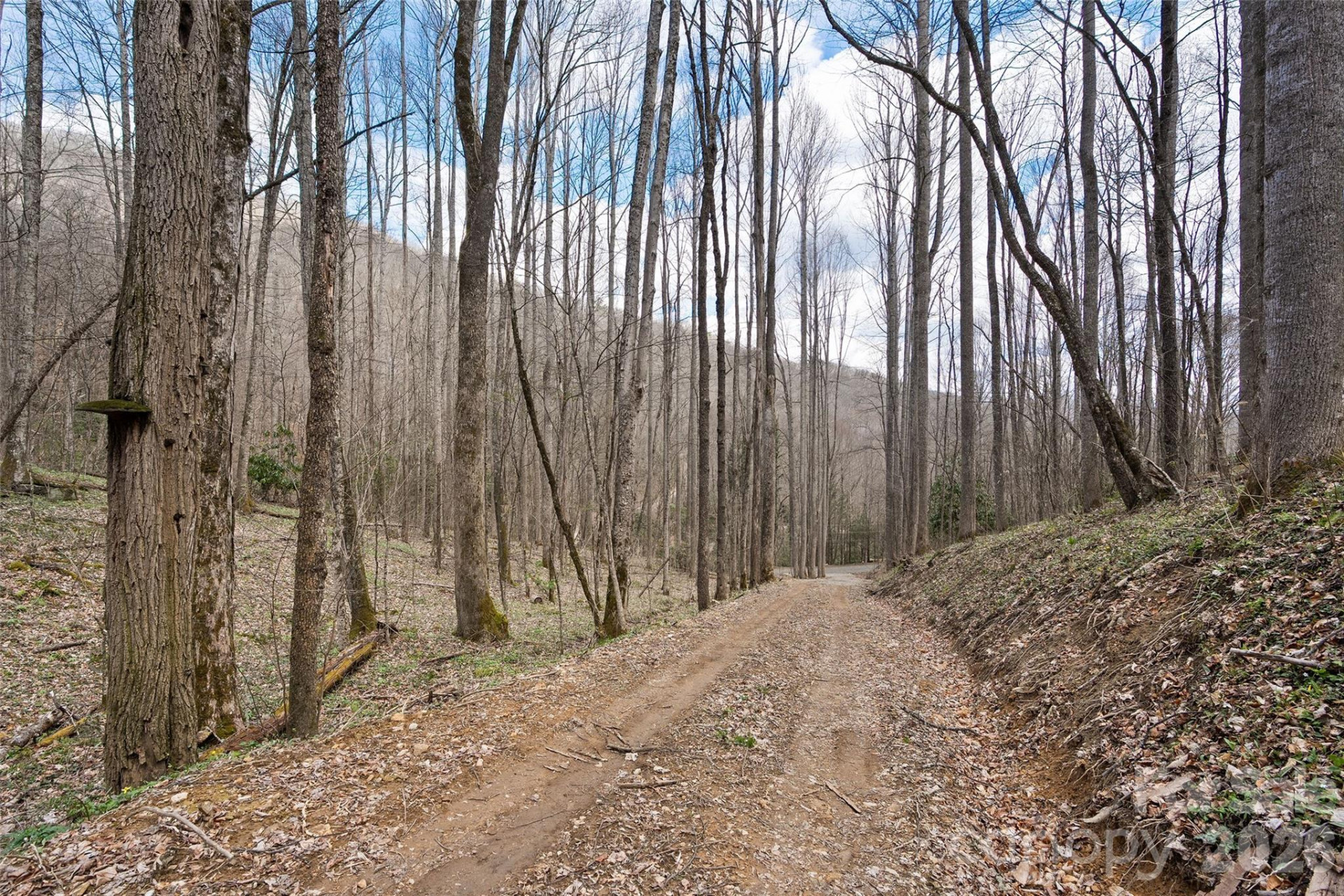 23 Forbidden Cove - Photo 9