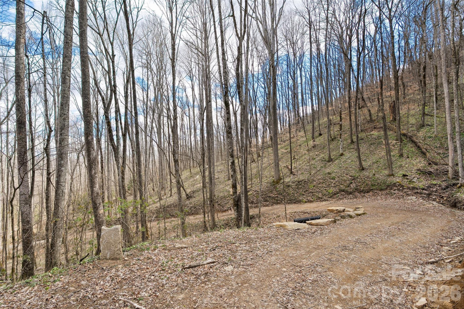 23 Forbidden Cove - Photo 10