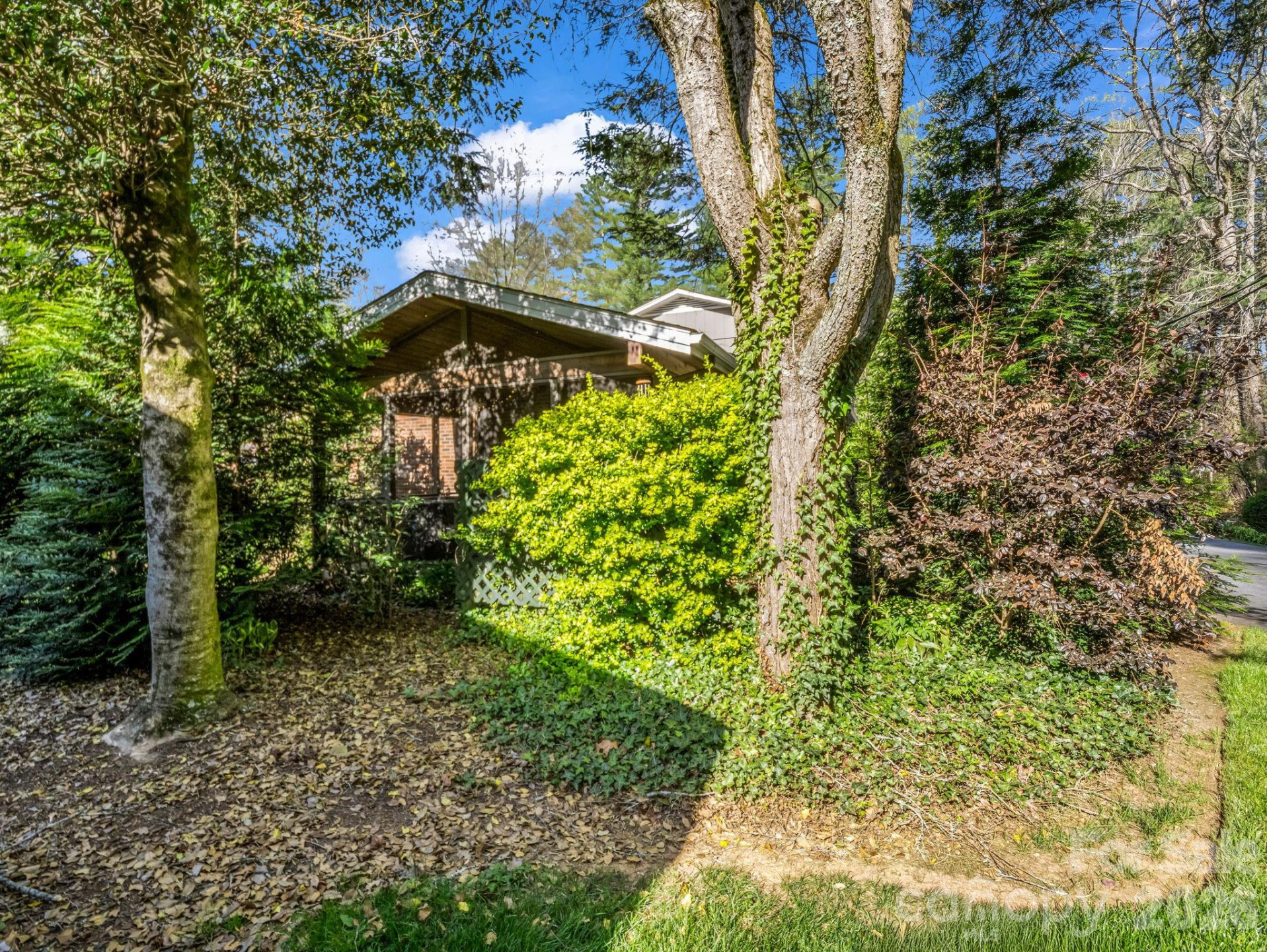 101 Boyd Drive #2A - Photo 30