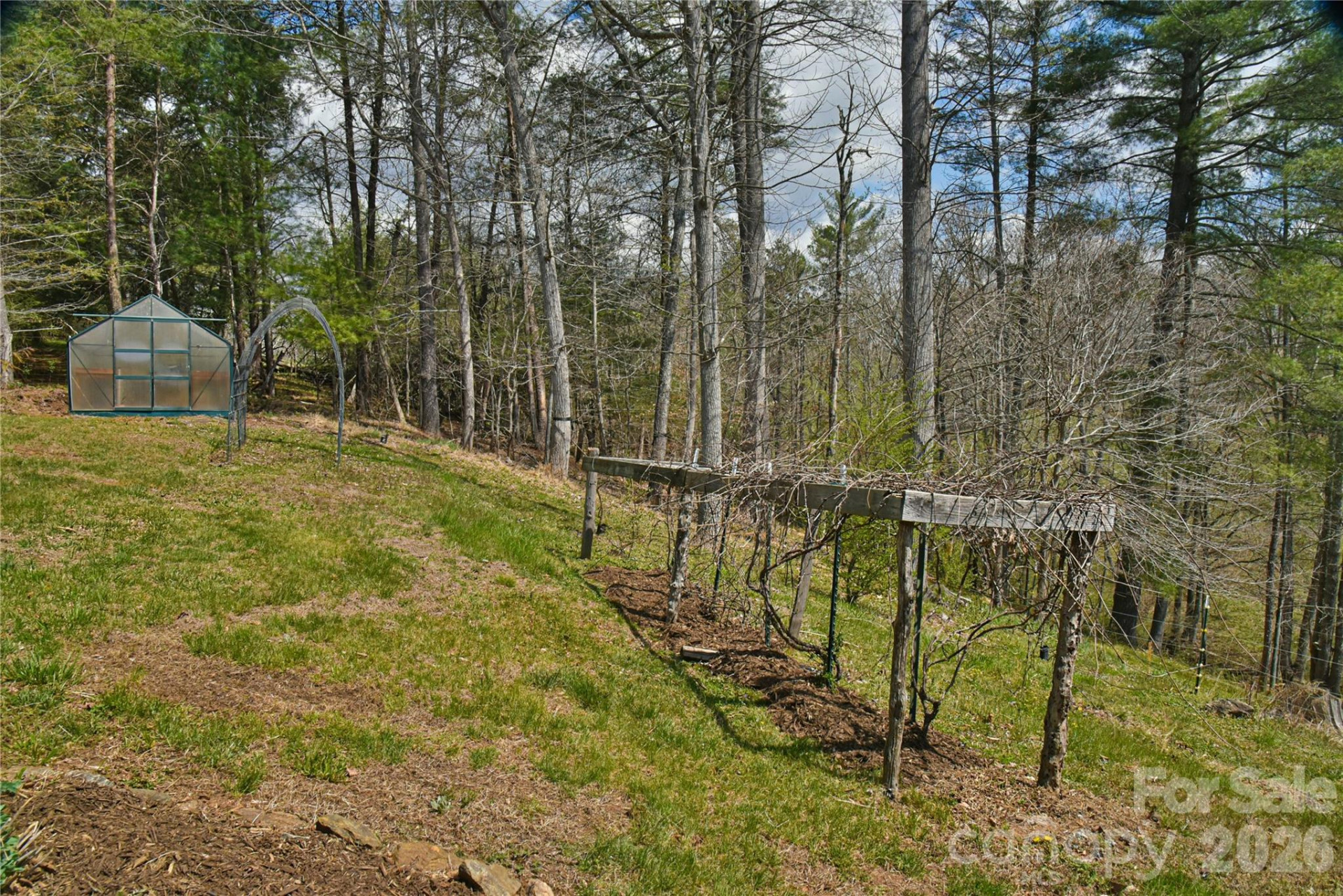 326 Panther Branch Road - Photo 23