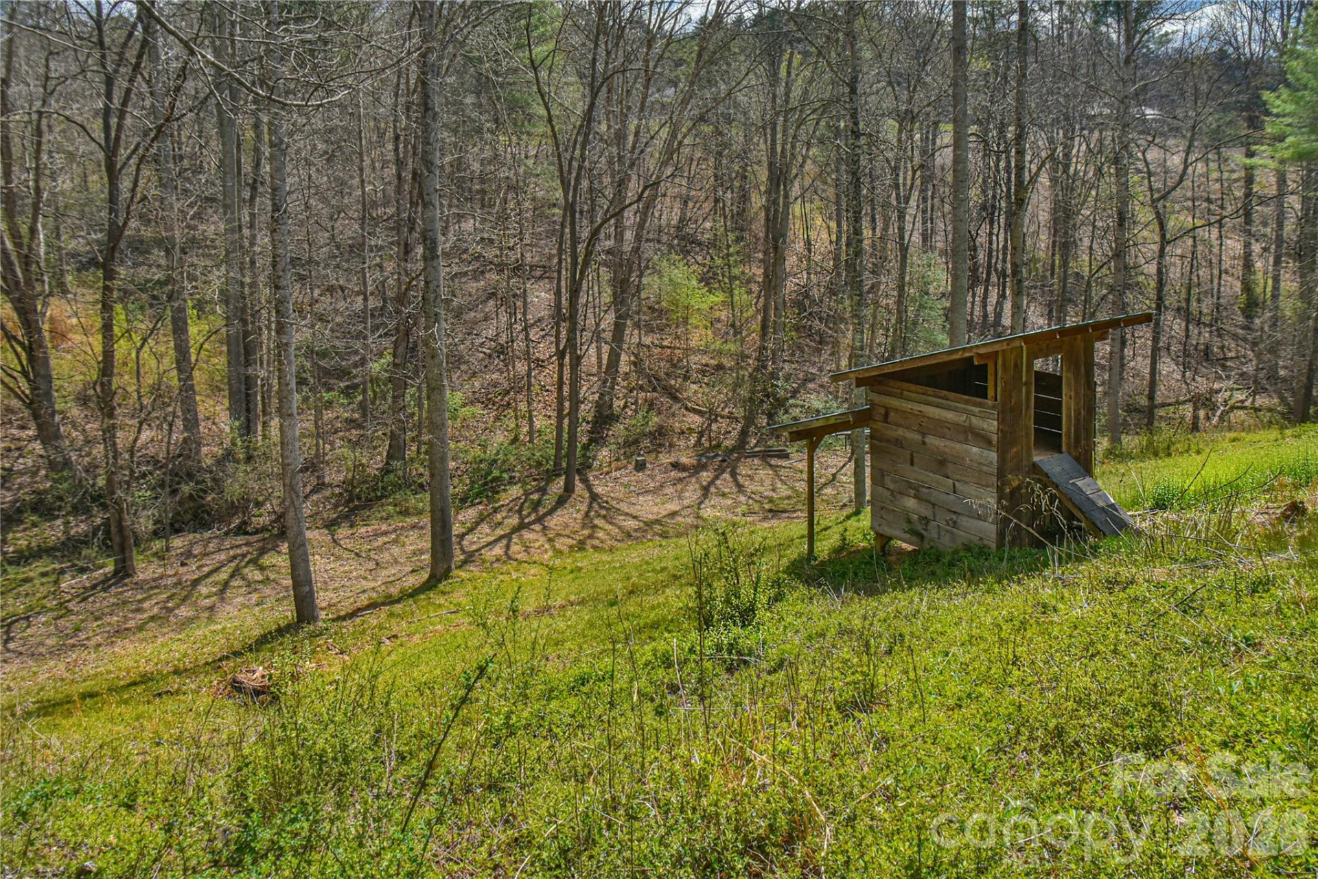 326 Panther Branch Road - Photo 28
