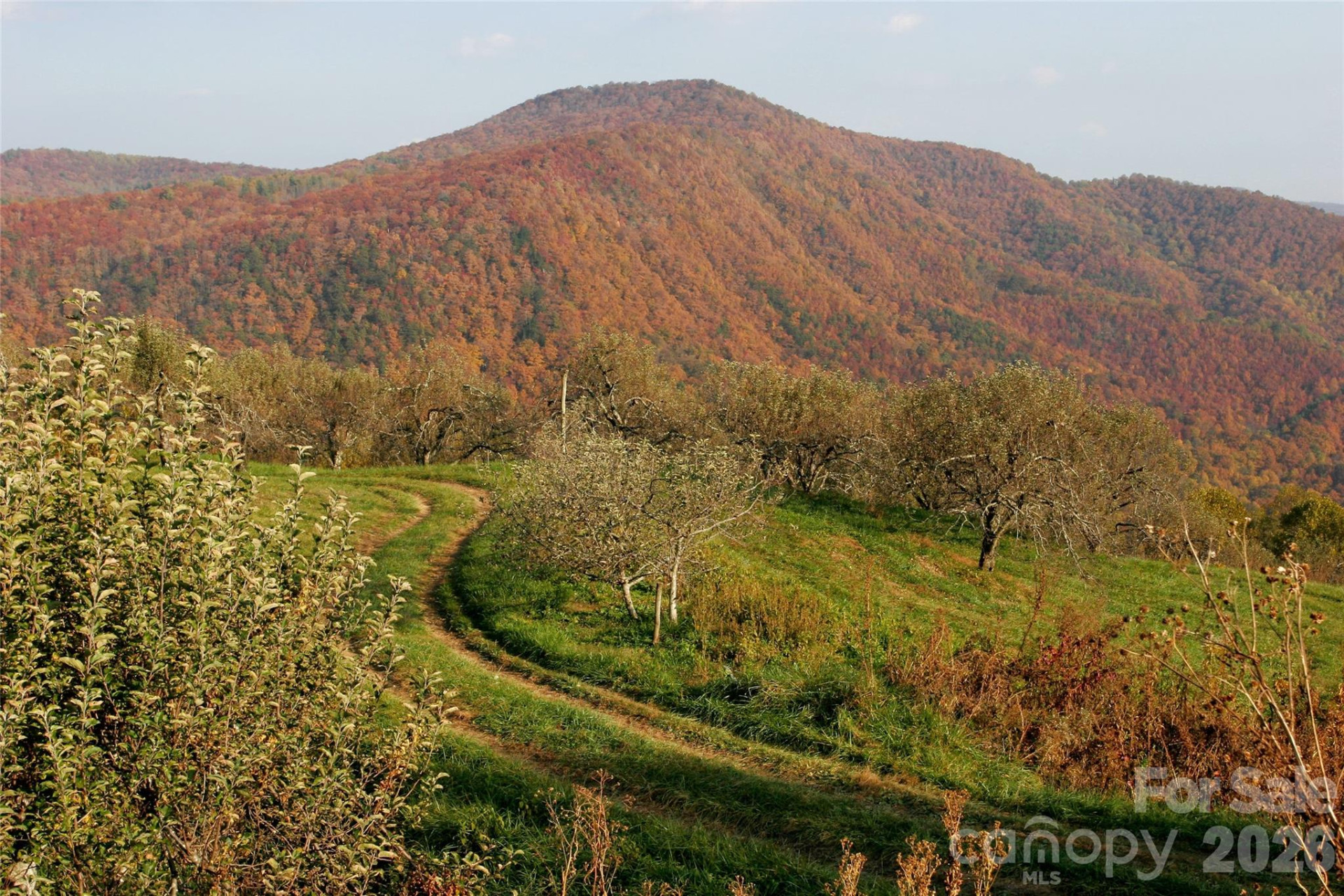 10 Eagle Drive - Photo 25