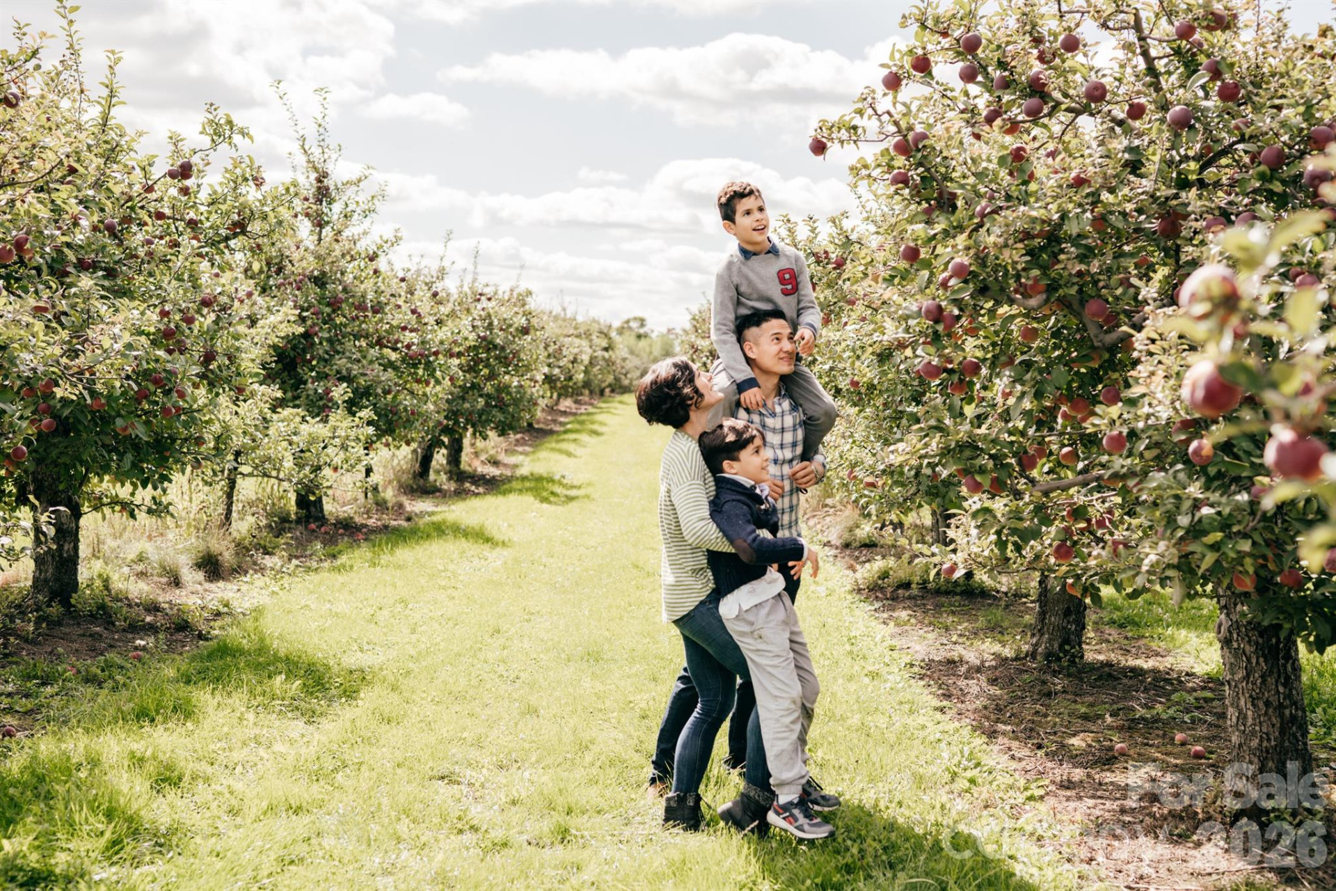 10 Eagle Drive - Photo 26