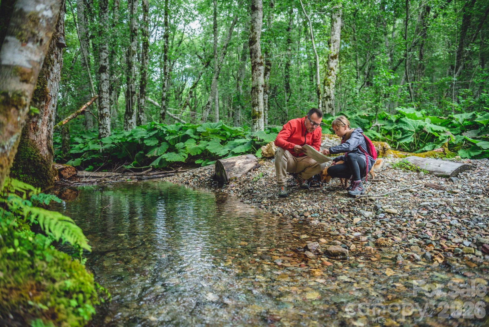 10 Eagle Drive - Photo 27