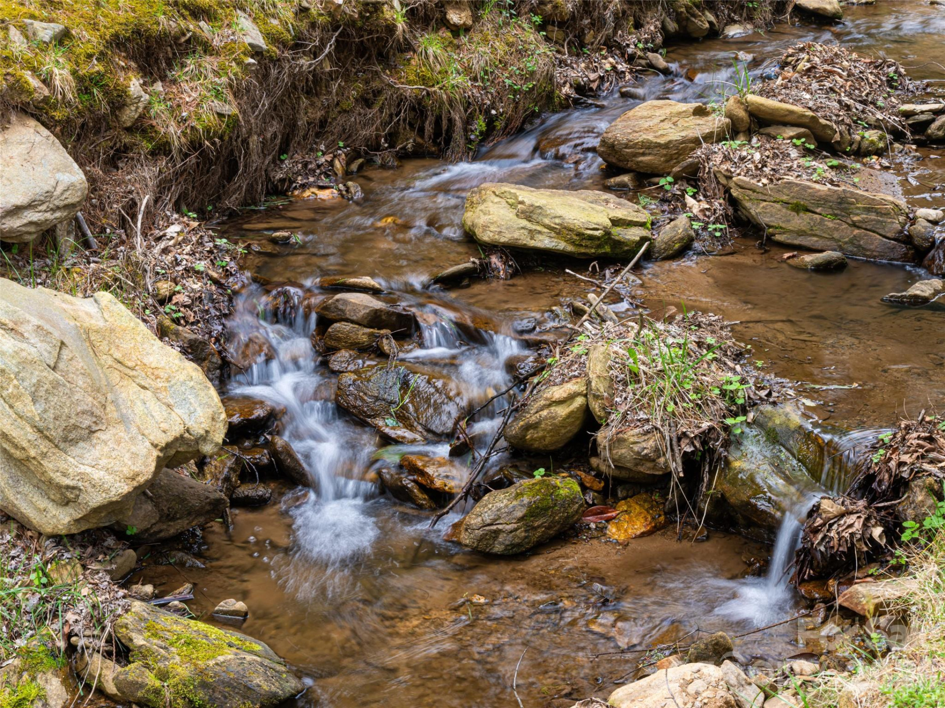 356 Curtis Creek Road - Photo 2