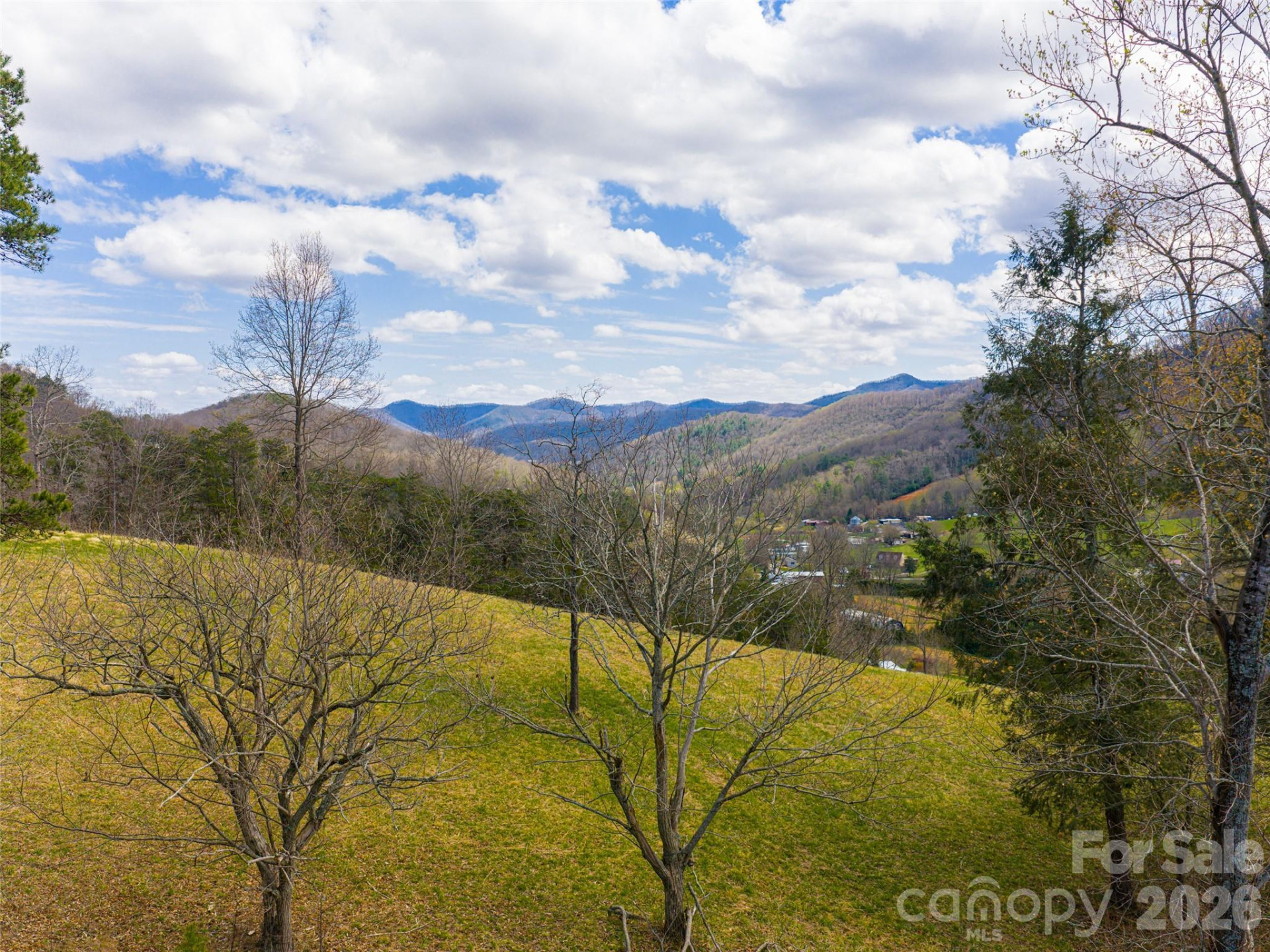 356 Curtis Creek Road - Photo 44