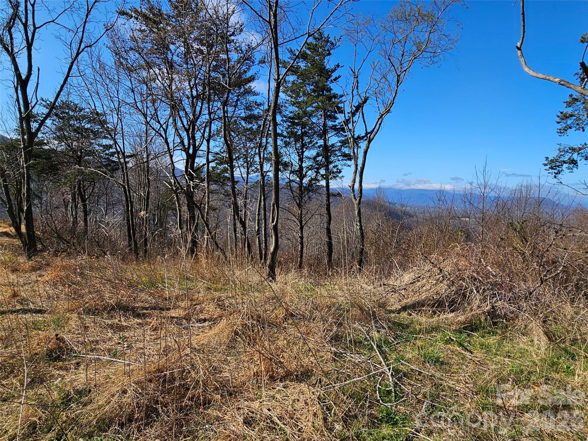 989 High Rock View Drive - Photo 11